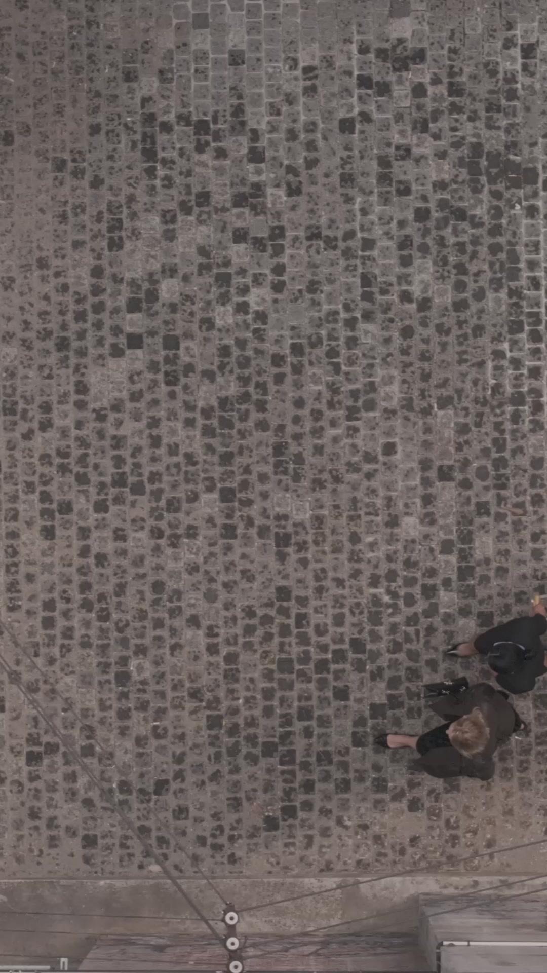 A Vingança da Esposa: A Queda do Traidor