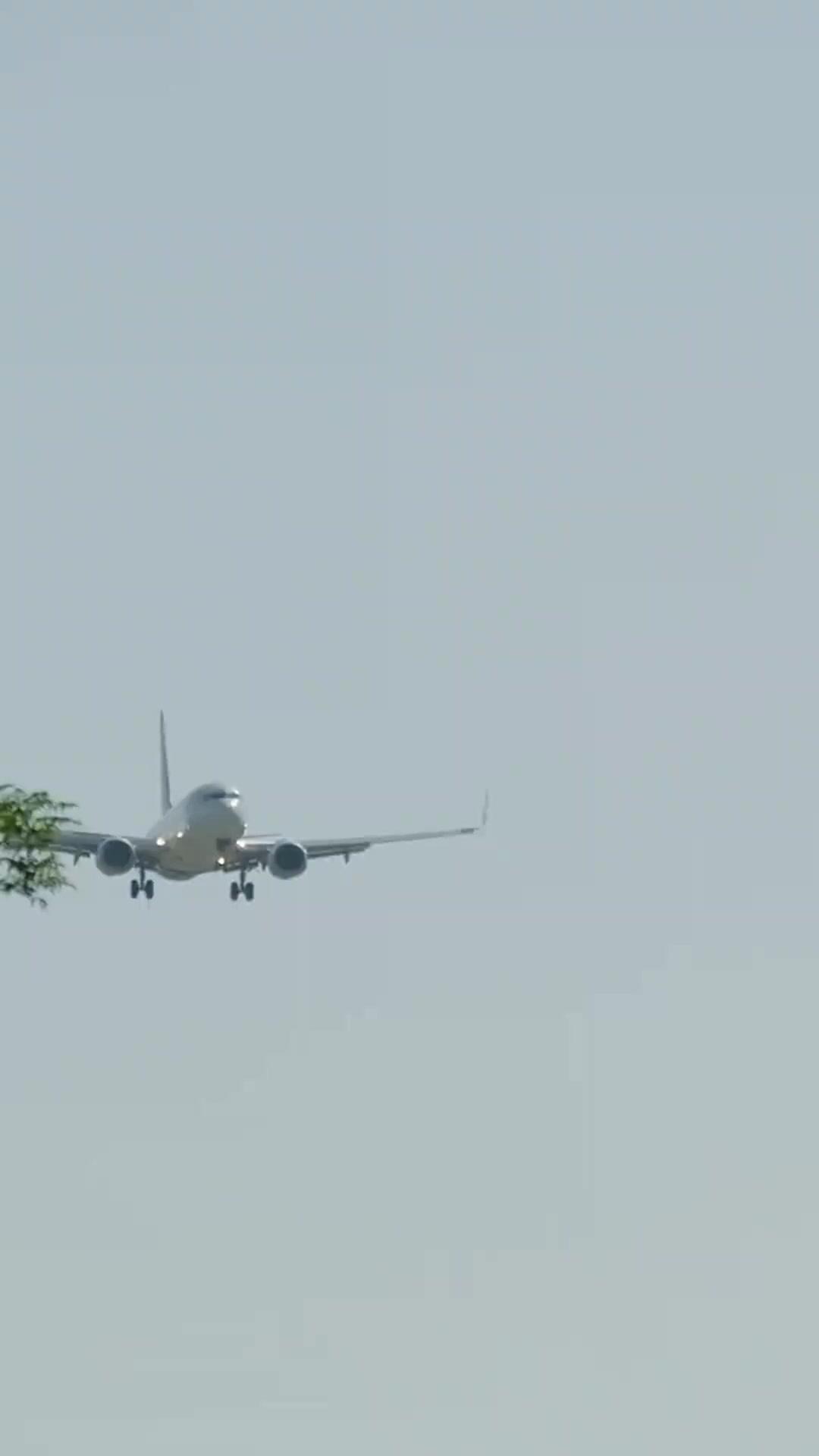 LE PDG ET SA PETITE GOUVERNANTE