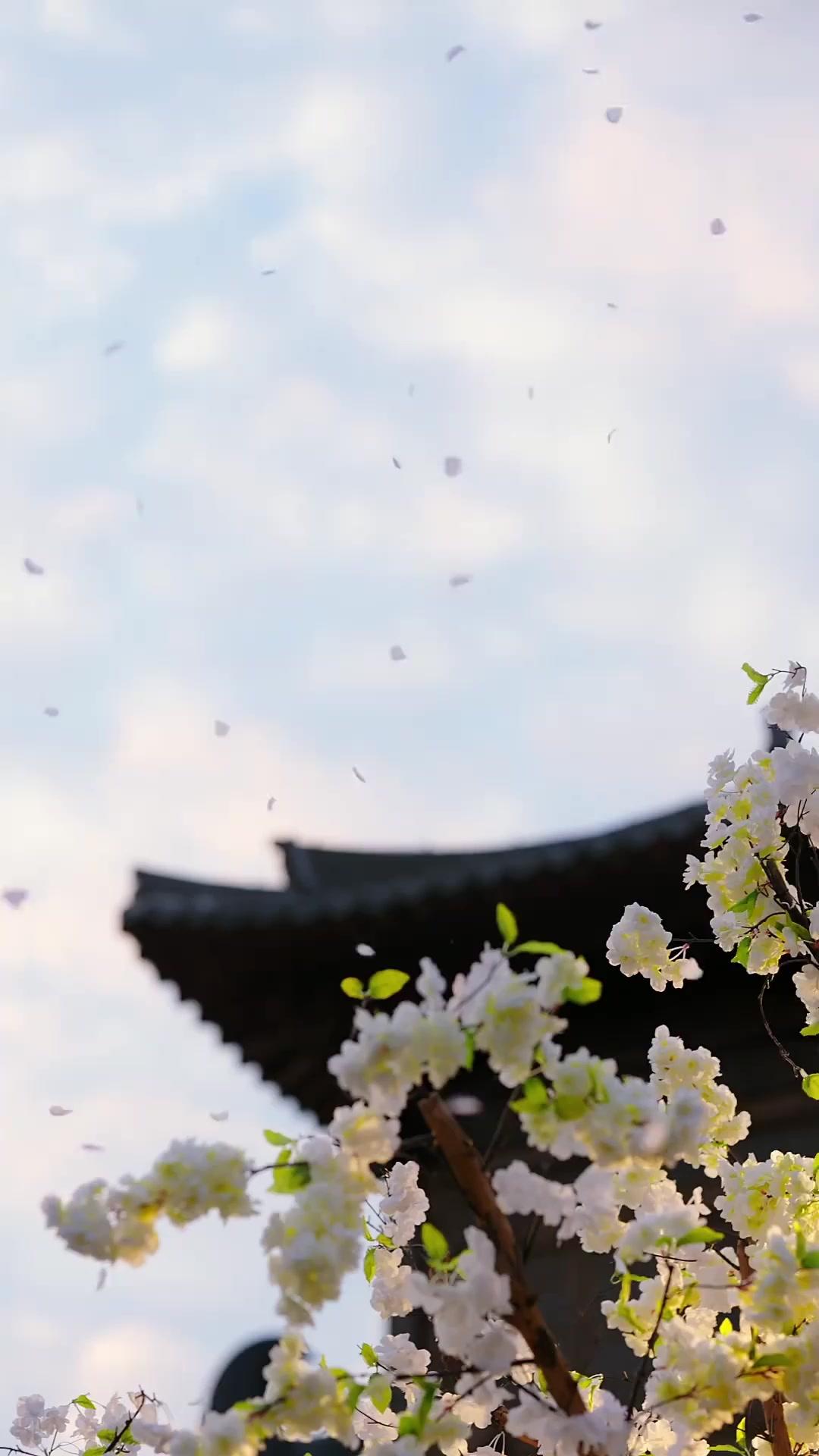 Kebangkitan Bangsawan Palsu