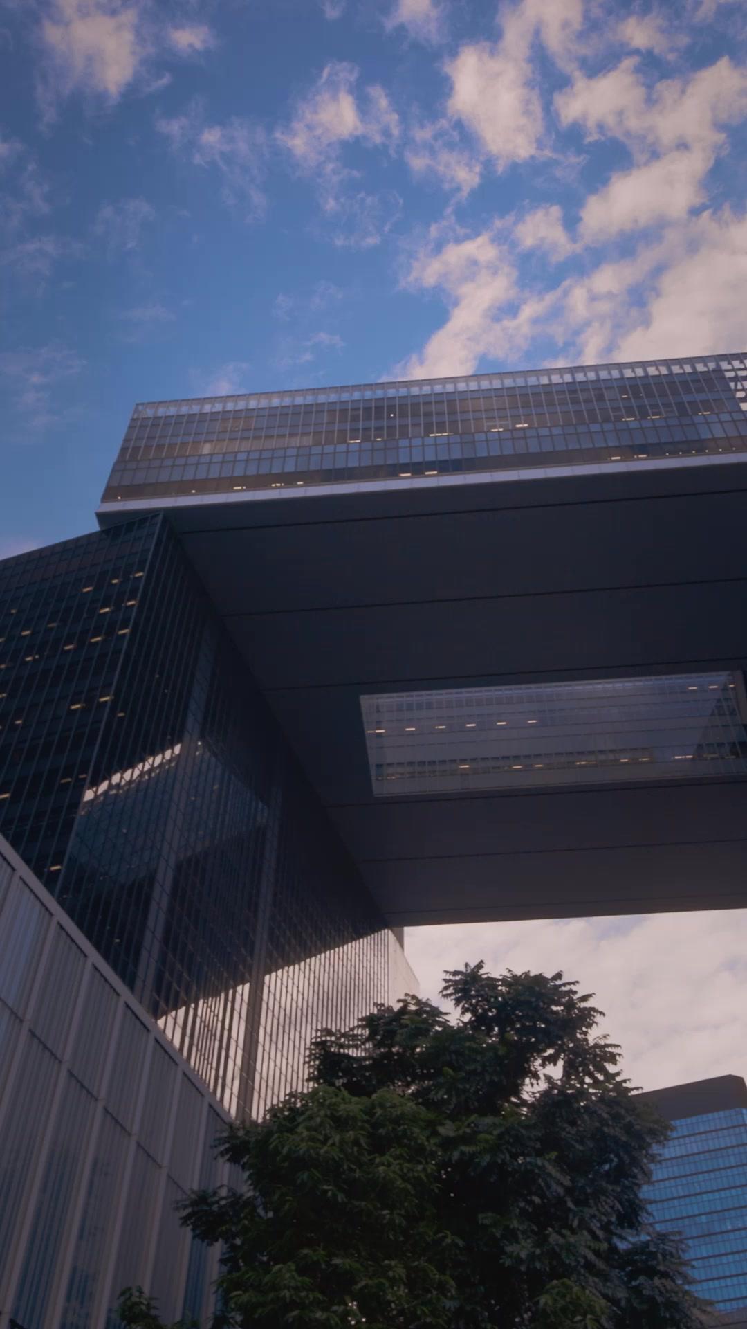 Mi abogado es mi esposo