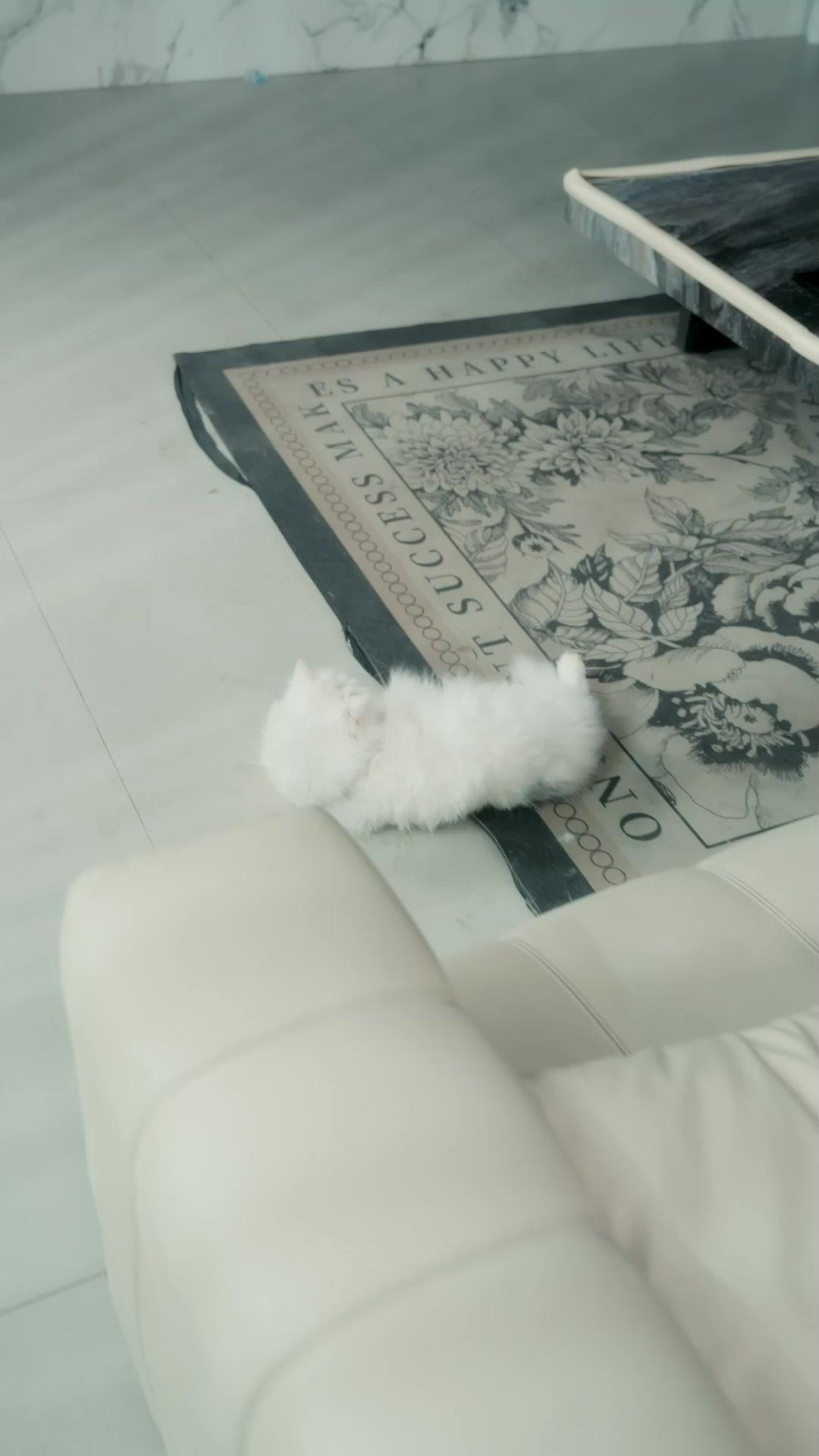 (พากย์เสียง)หลับเพื่อจบ ลืมเพื่อเริ่ม