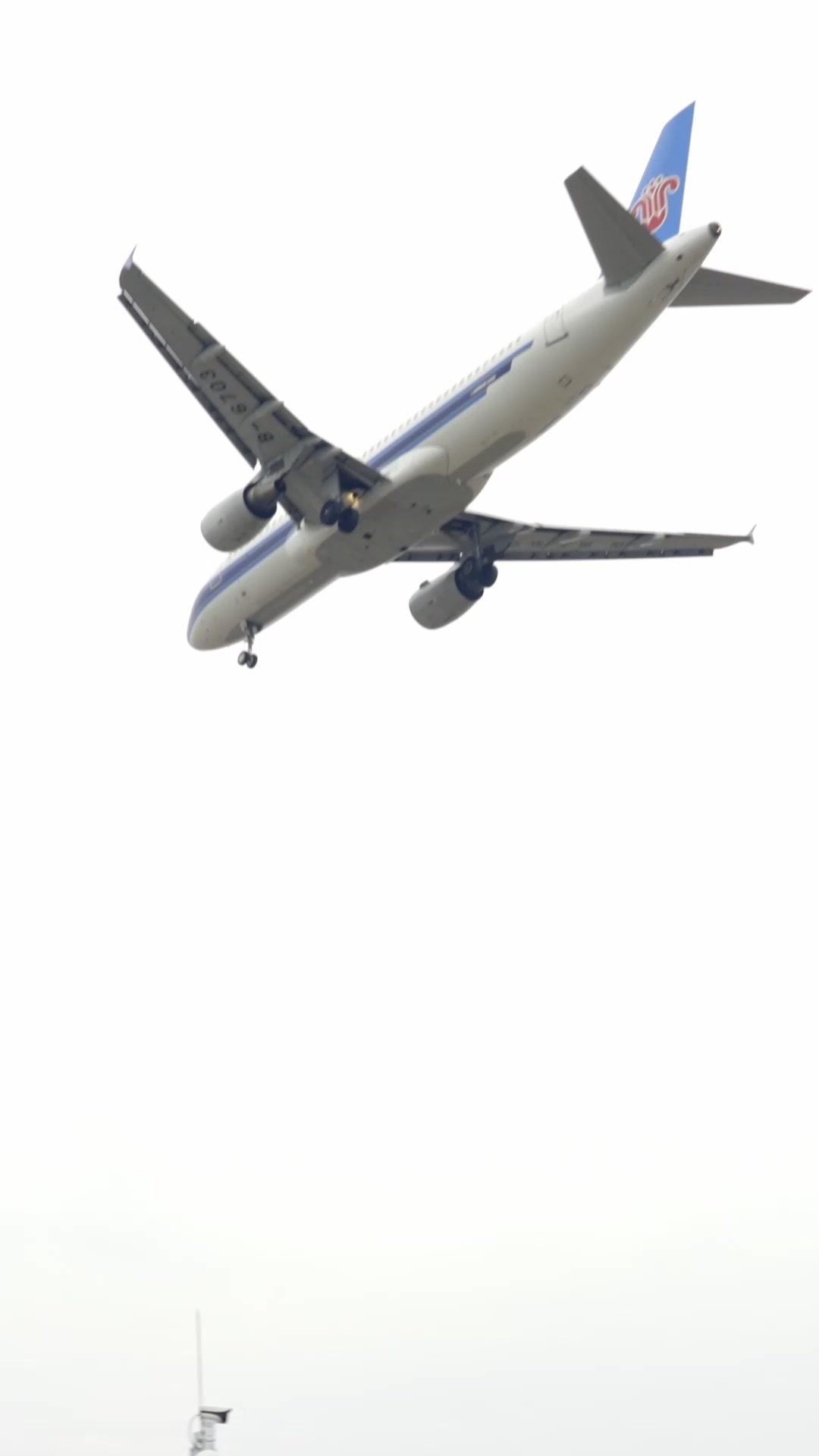 首富爹地微服中