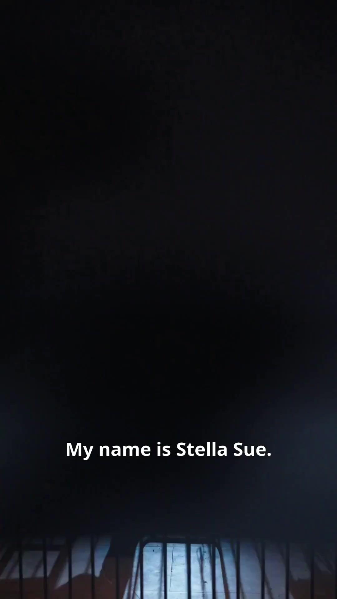 (Dubbed) Locked Up for a Cheater, Locked Down by the CEO