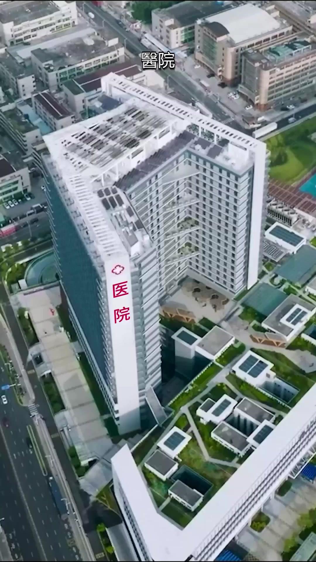 重生之奶奶華章再啟