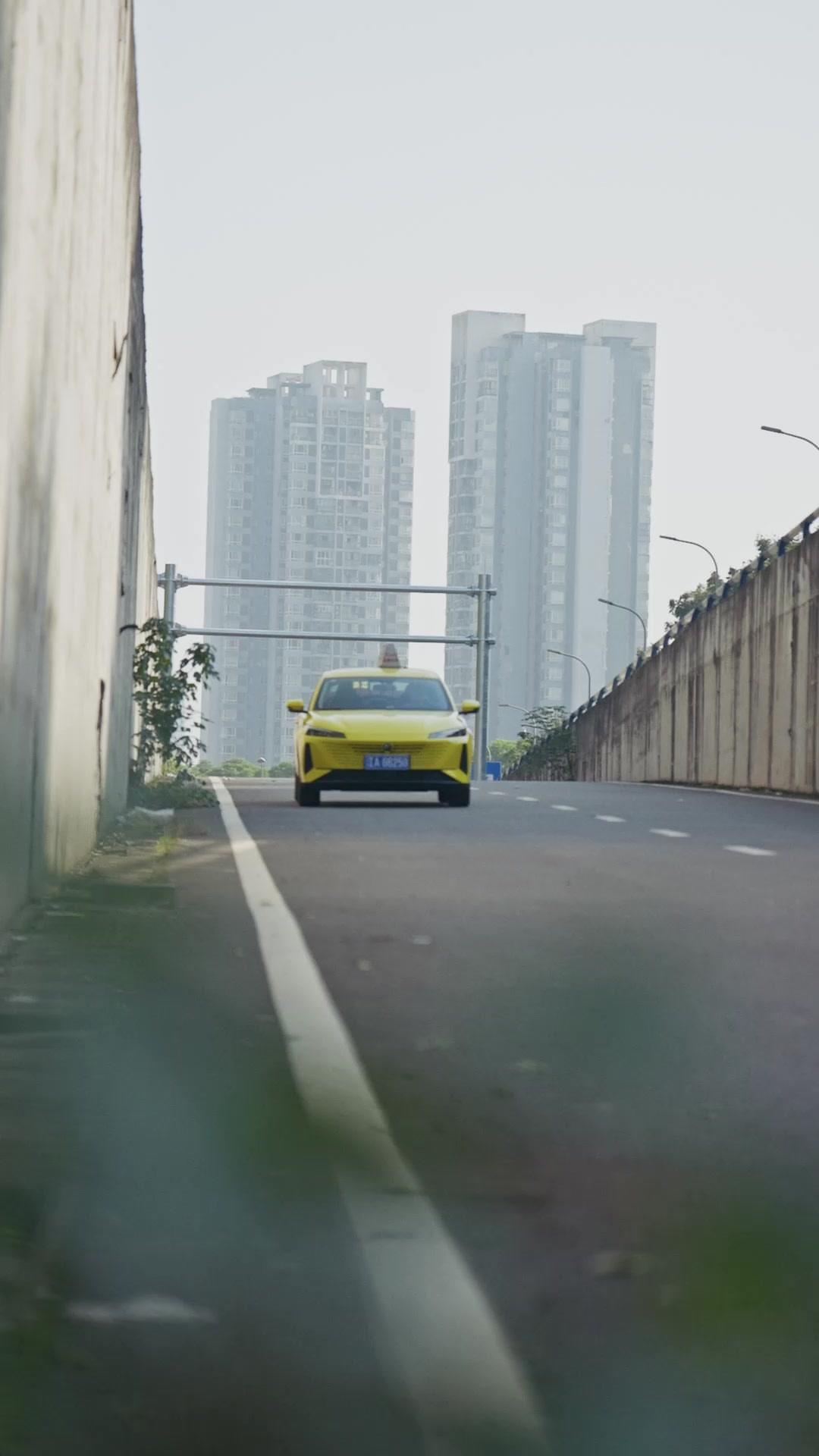 Duello tra Due Figlie