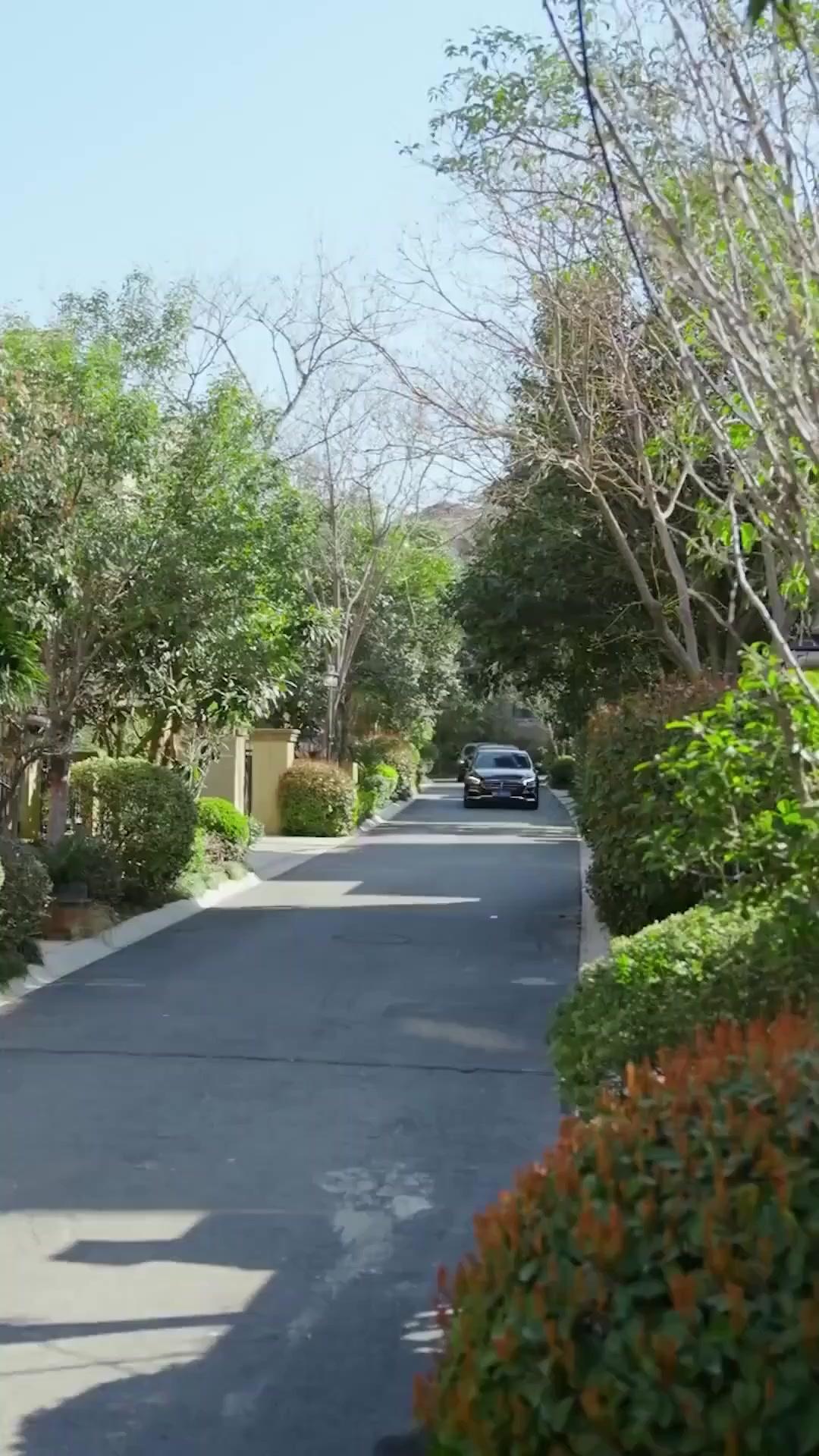 (Dubbed) Last Chances to Redeem