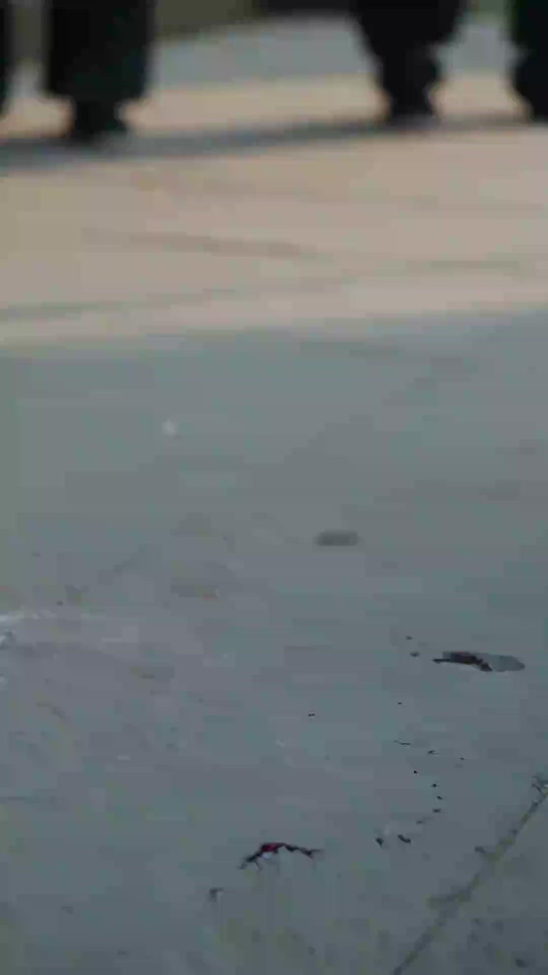 Mocked Driver, Hidden King