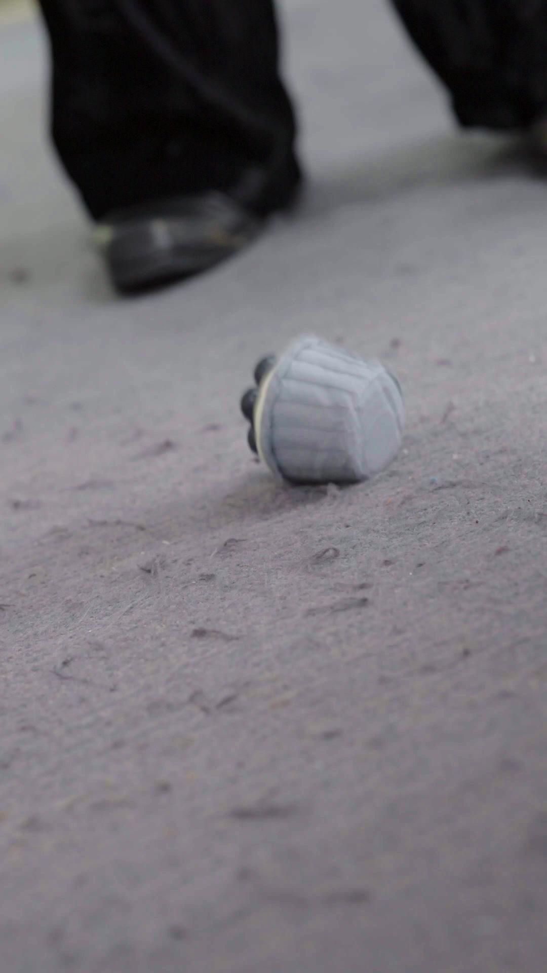 Si Jenius Catur Igo Berjari Emas