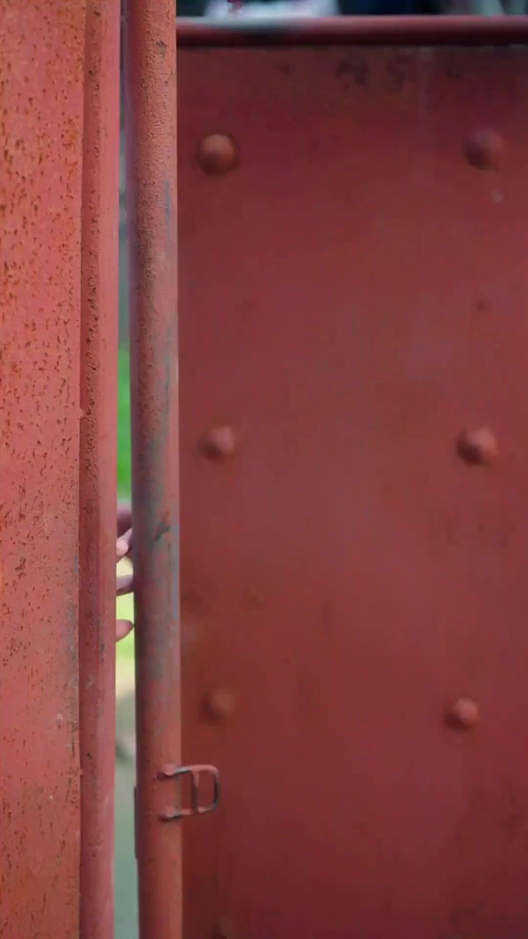 (Sulih suara) Cinta yang Terukir di Hati