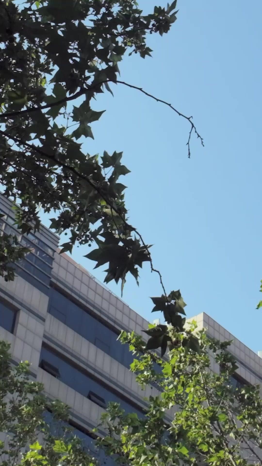 3 Bulan Terakhir Hidupku