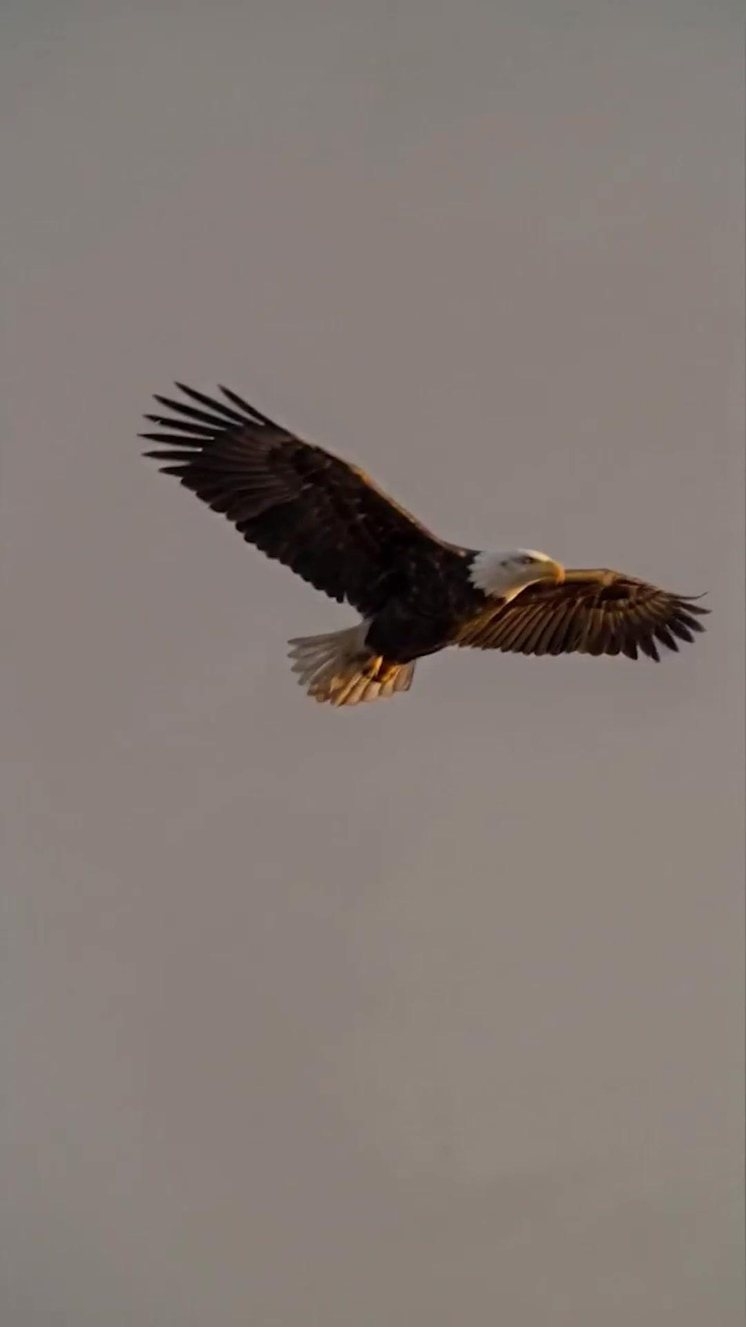 I Was Chosen to Kill a God