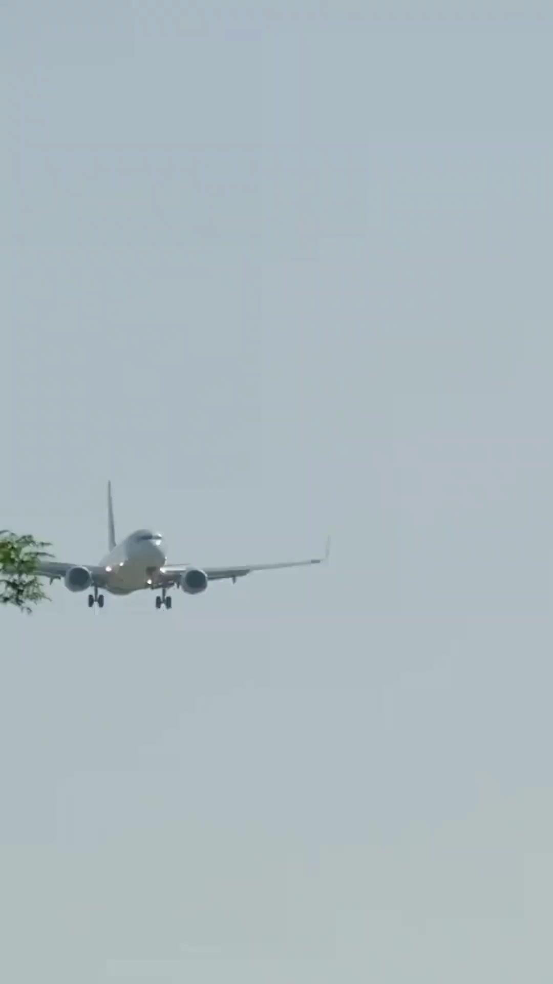 (Doblado)La chica de su infancia