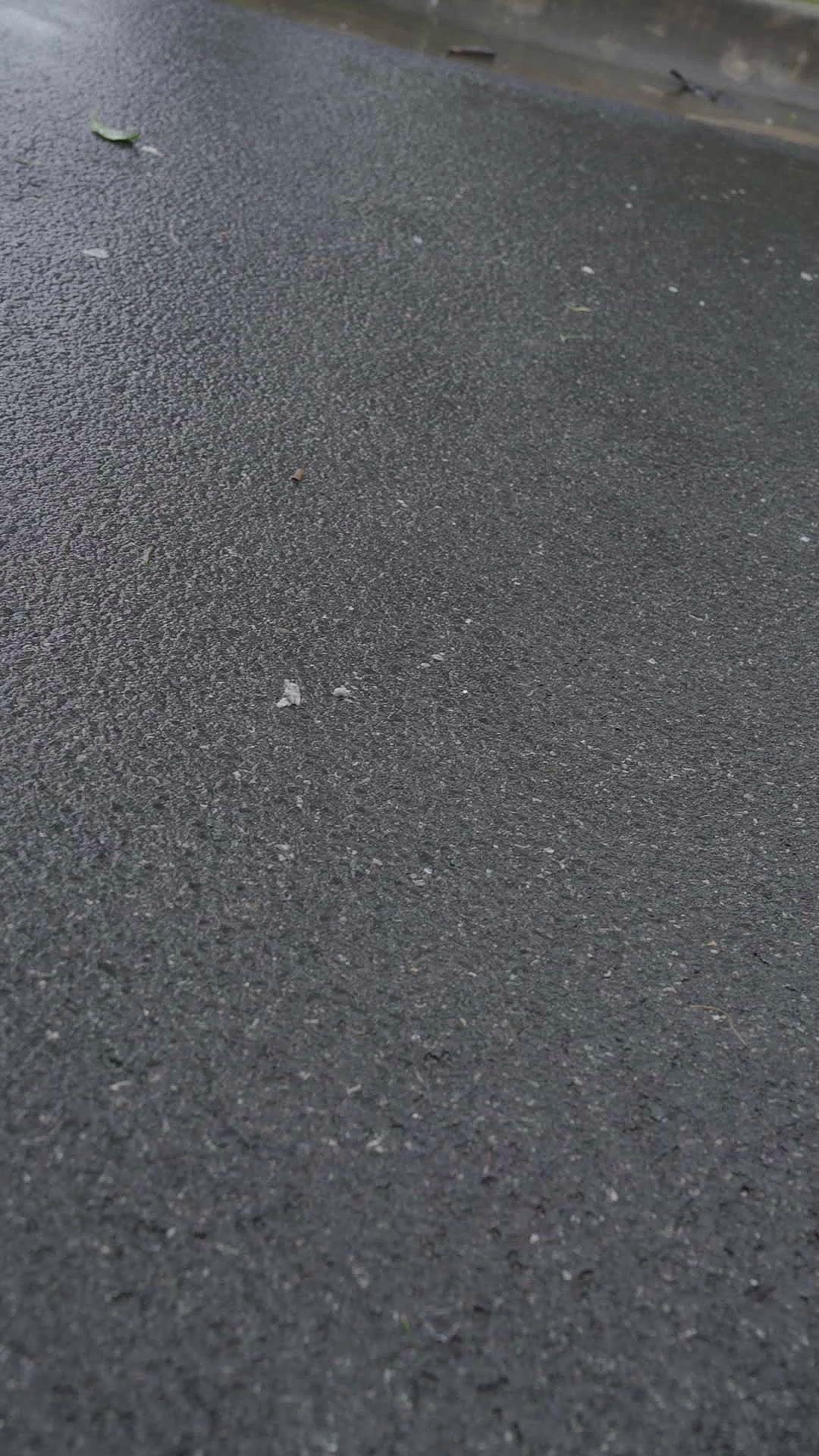 What Goes Around Comes Around