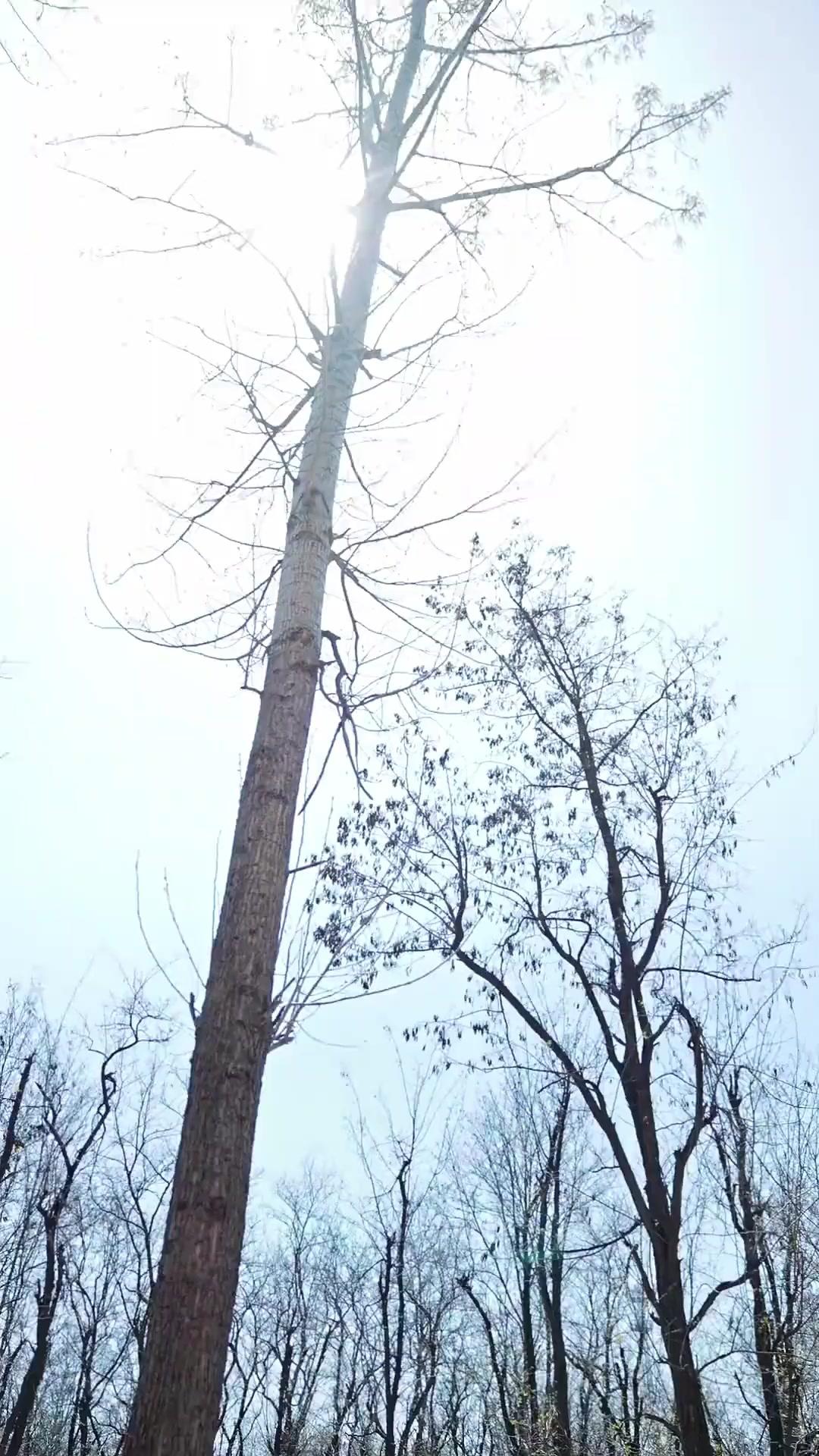 Puteri Si Miskin Menakluk Istana