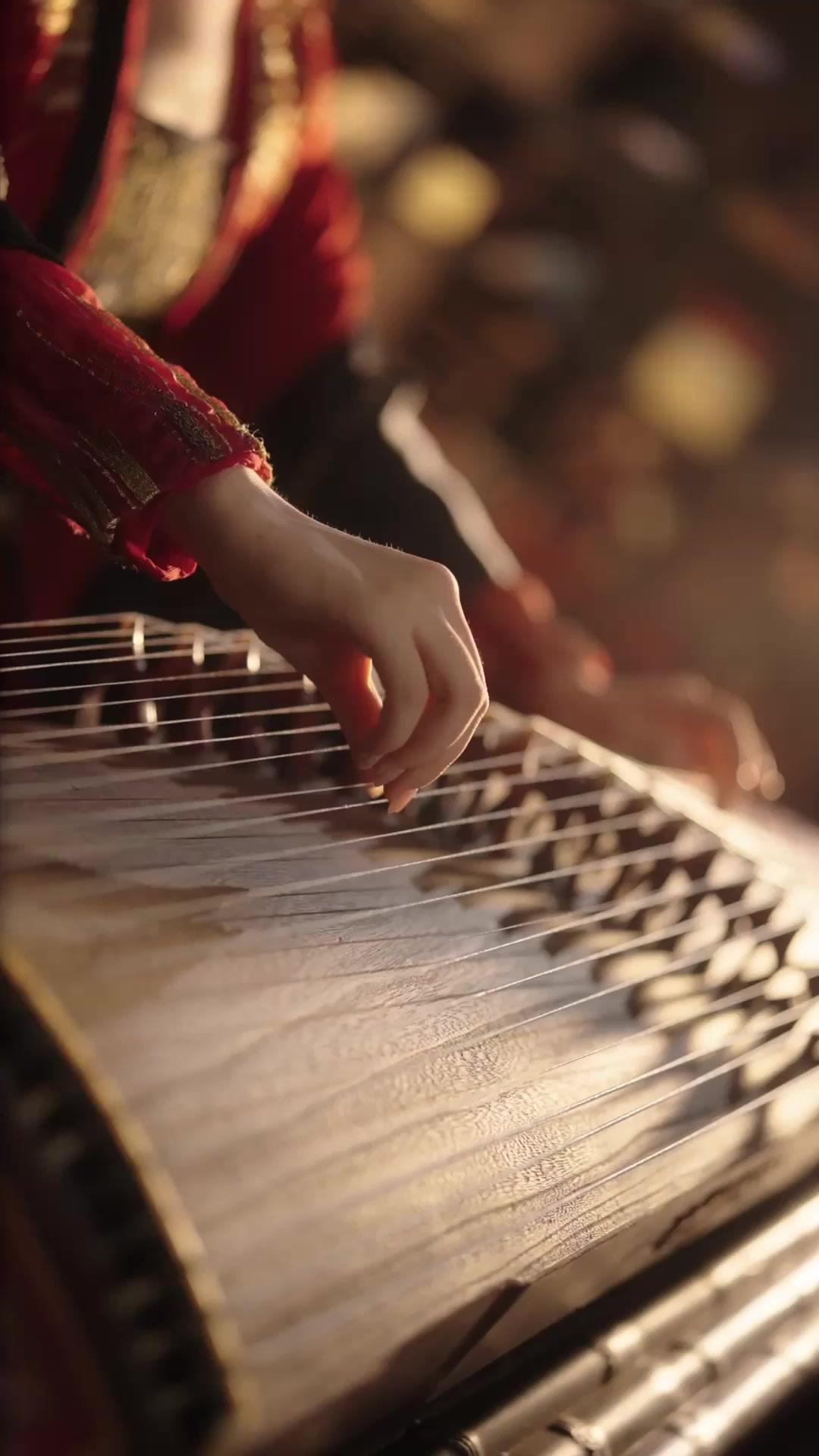 Bir Kadın Suikastçı’nın Dönüşü