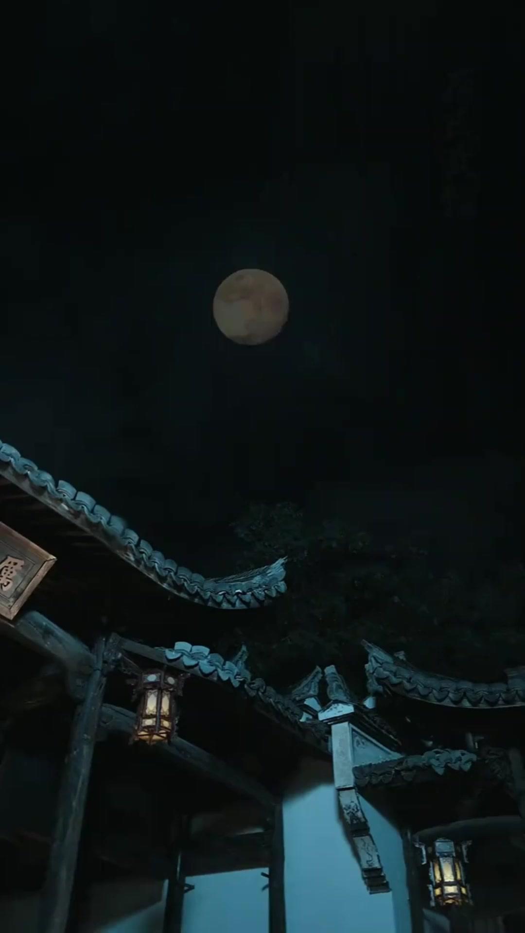 Meu Pai é um Punho Lendário