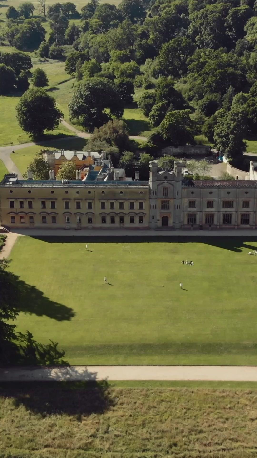 The Mafia Boss' Secret Maid