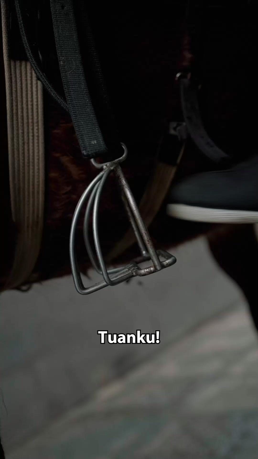 (Dubbing) Tempat Kembali Sang Raja