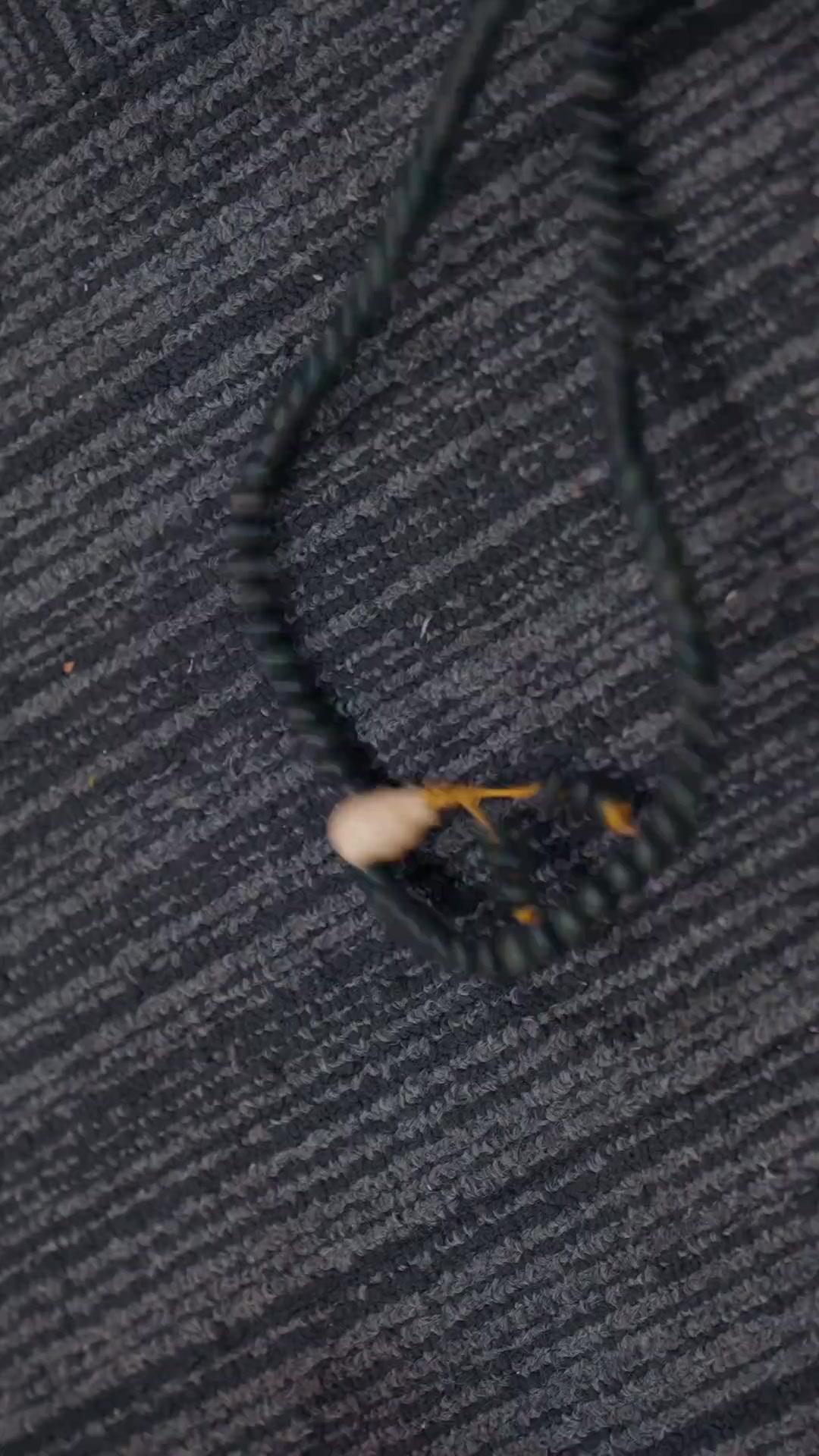 Wenn die Masken fallen