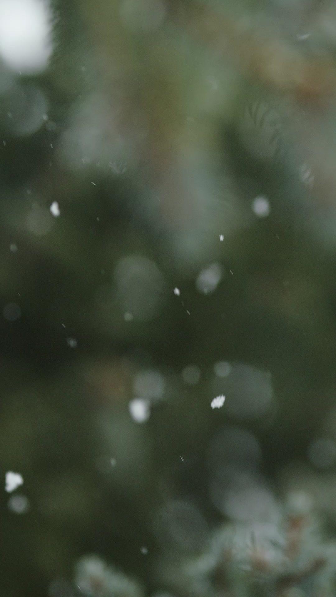 Vua Đầu Bếp Tìm Lại Tình Yêu