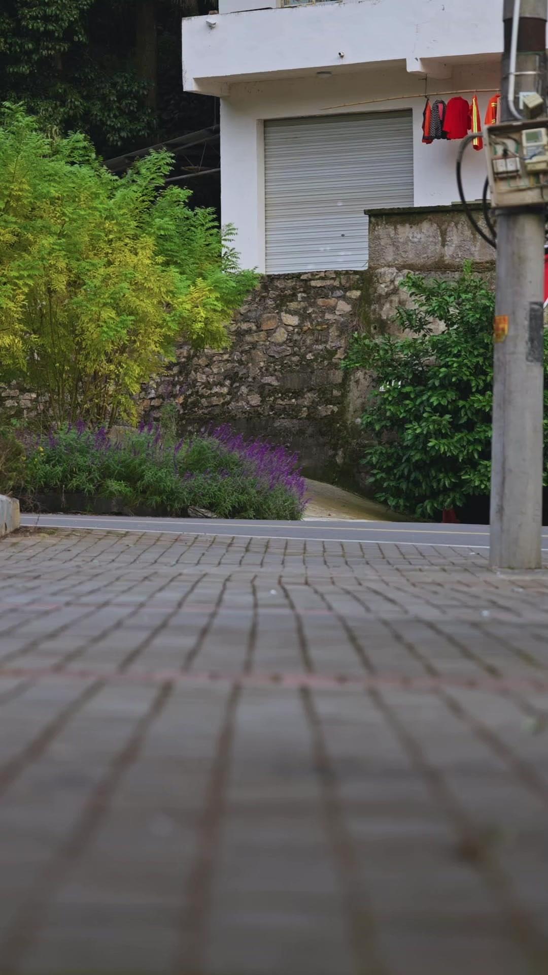 爸爸，請救救媽媽！