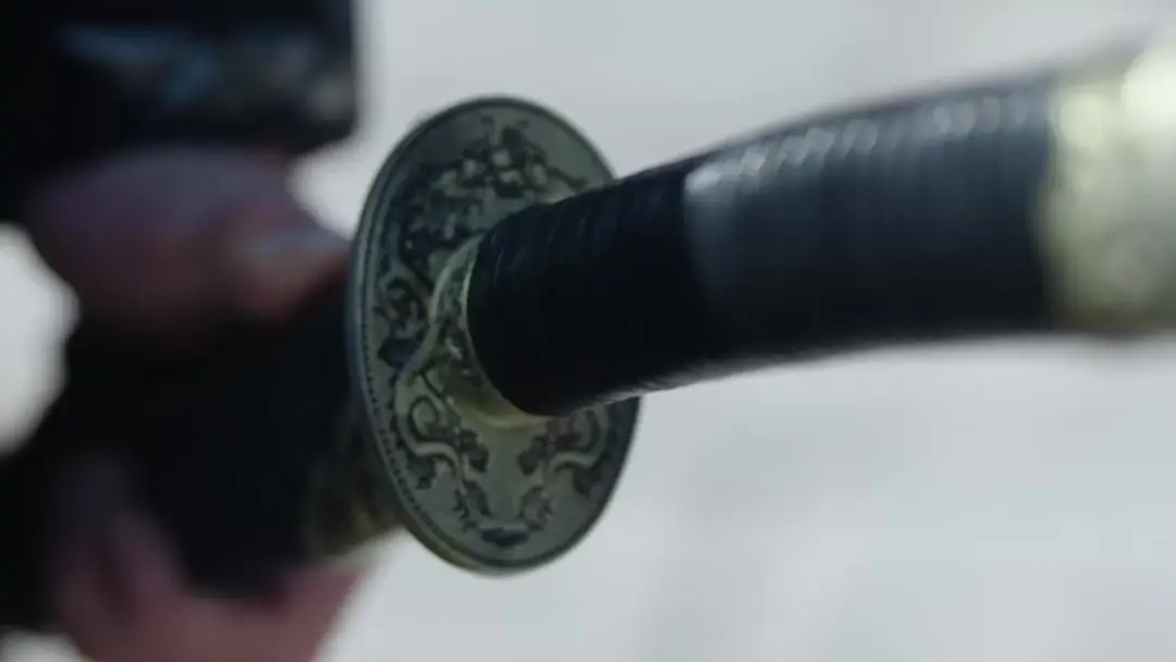 General at the Gates: When the Blade Speaks Louder Than Law