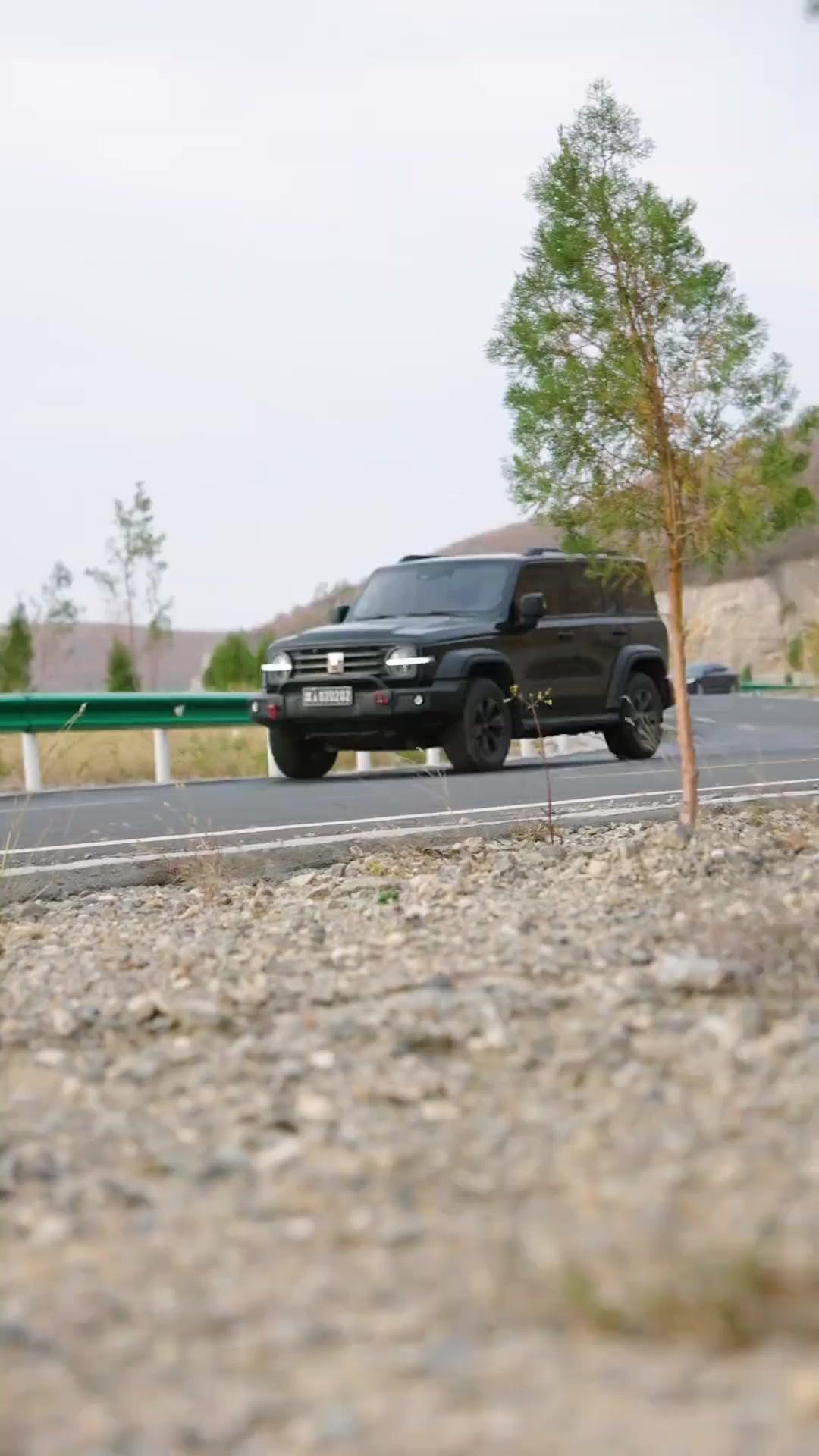 無人地帯、彼女は失踪した