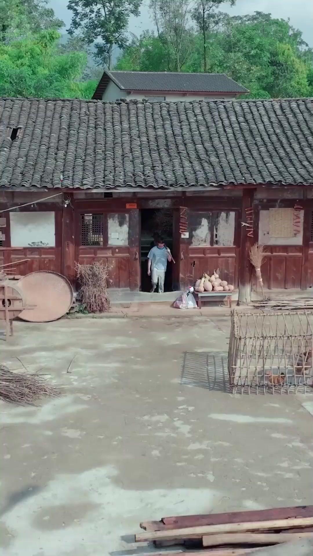 Sin pedigree pero con garras