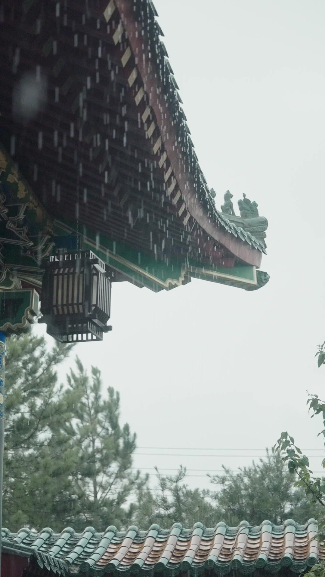 Your Majesty… I’m Just a Courtesan!