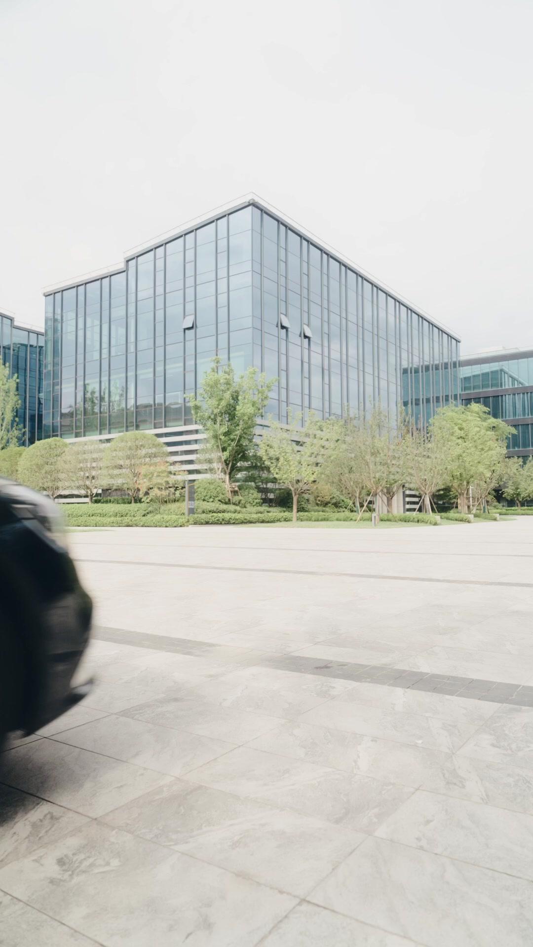 بين الشفقة والحب