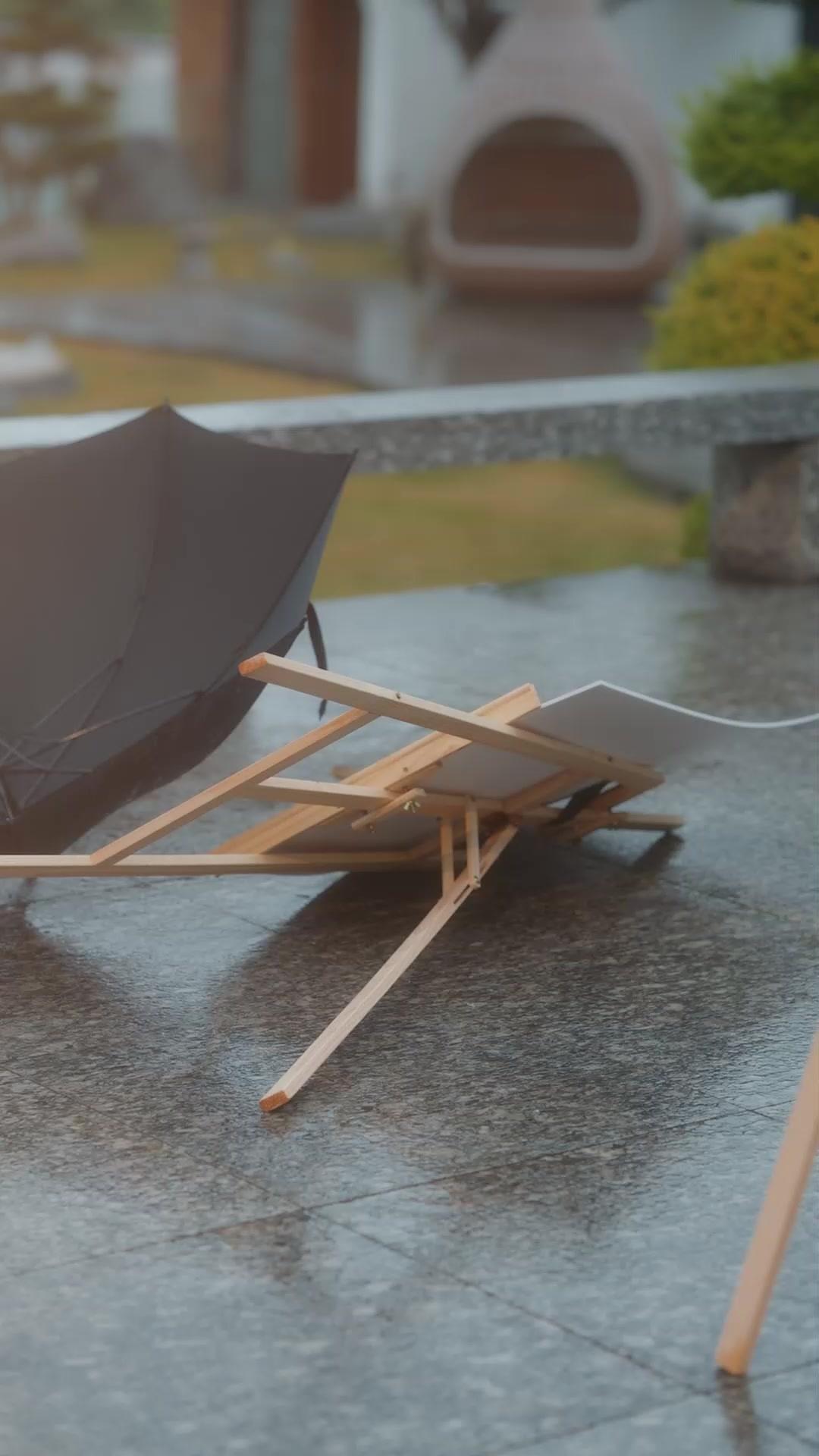 Breaking Dawn Brings Love Back