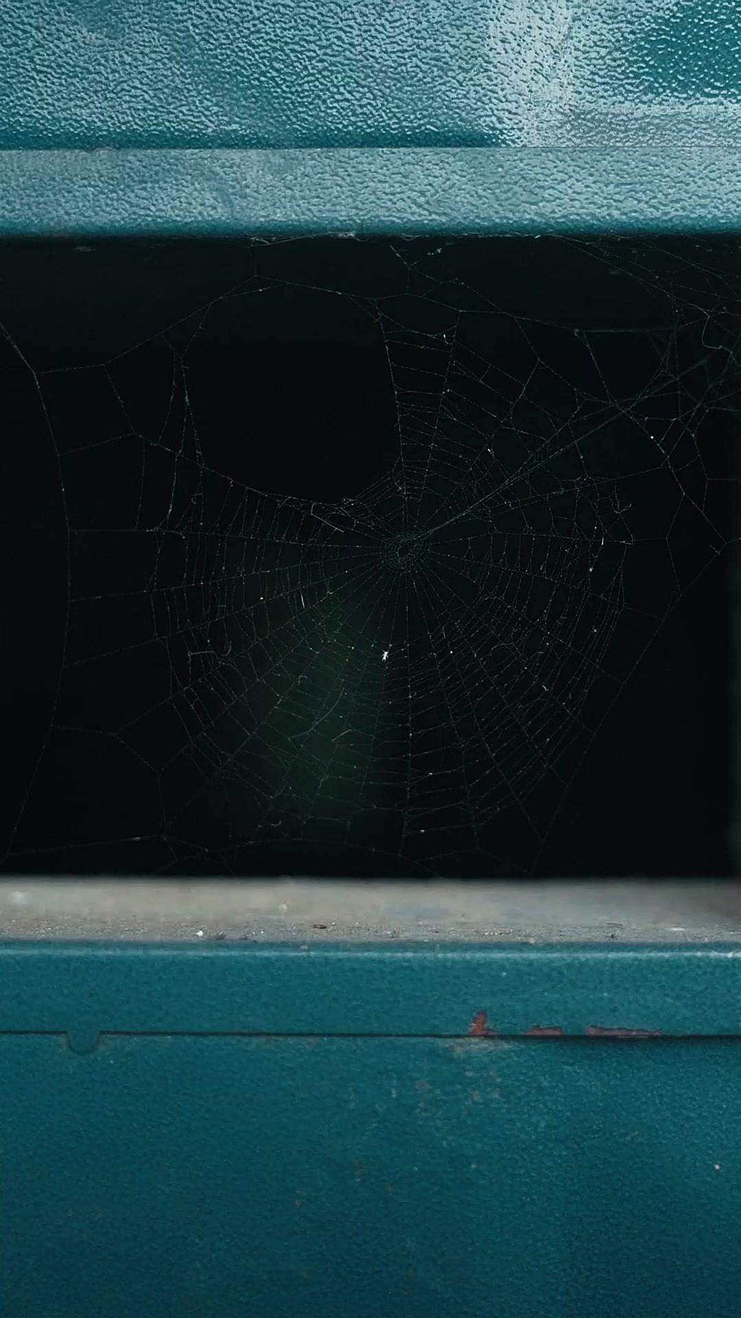 千金歸來之復仇遊戲