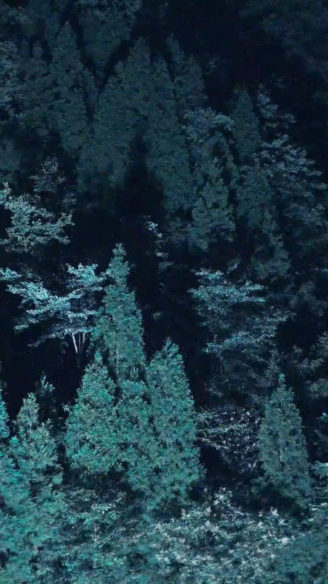 （مدبلج）السباق الأعظم.. والشجاعة تتألق