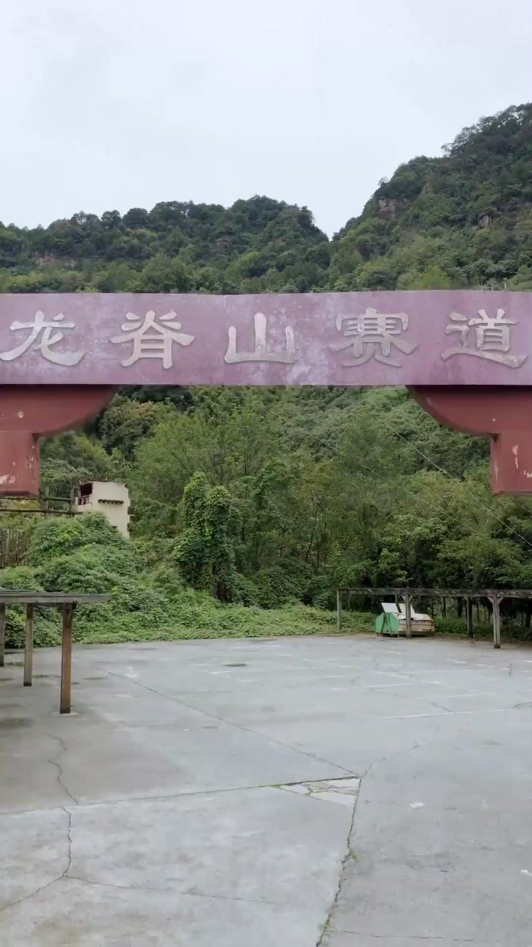 (Dublajlı) Taşıyıcı: Zorlu Görev