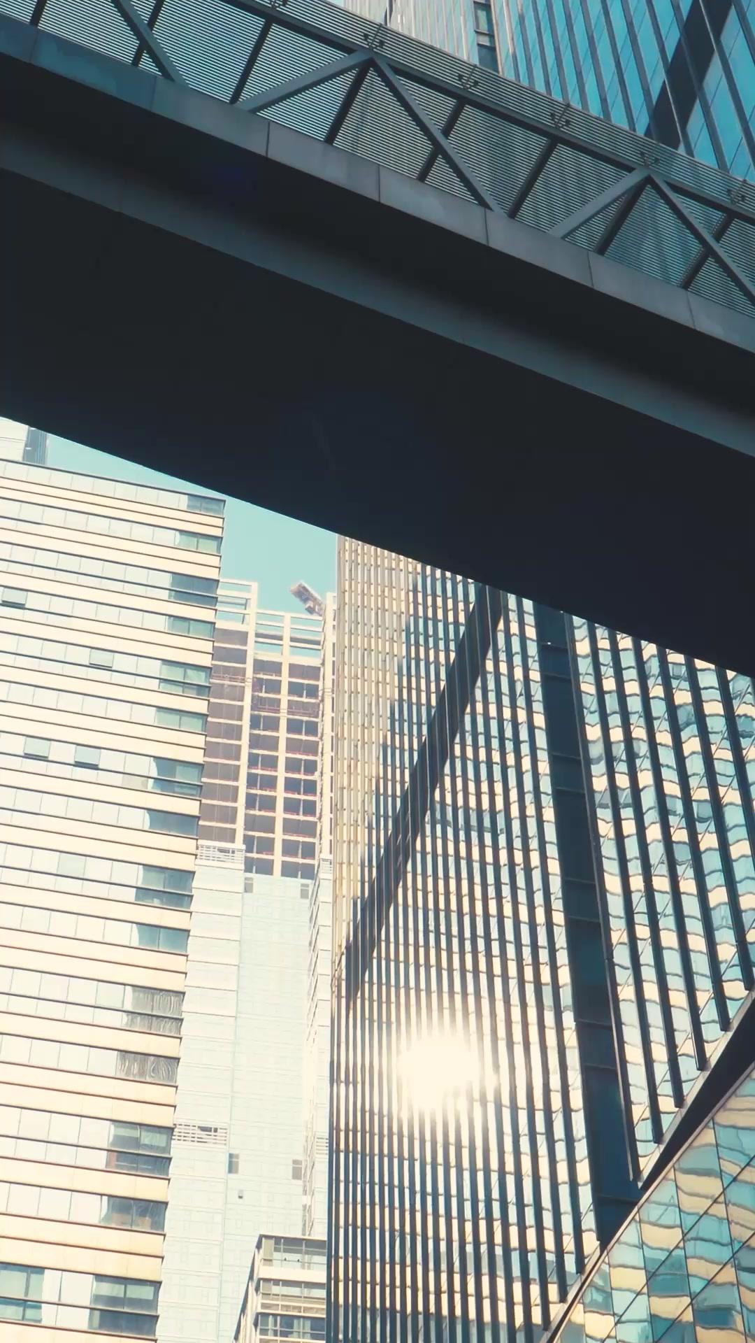 My Warlord Fiancé & His Mission to Save Me