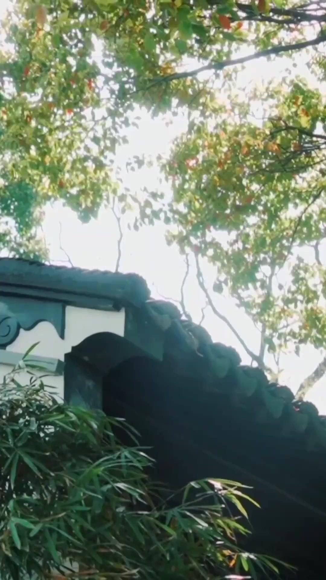 회귀한 의녀는 참지 않아!