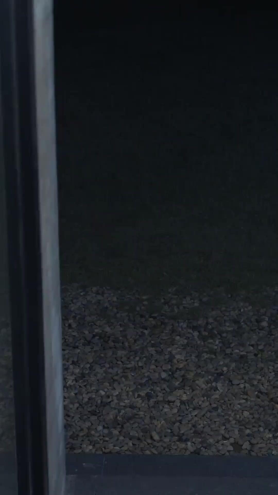 (Sulih suara) Laporan Pembawa Cinta