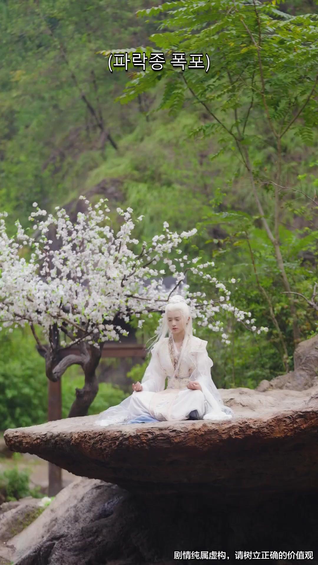 무정도 수련 후 사매가 미쳤다