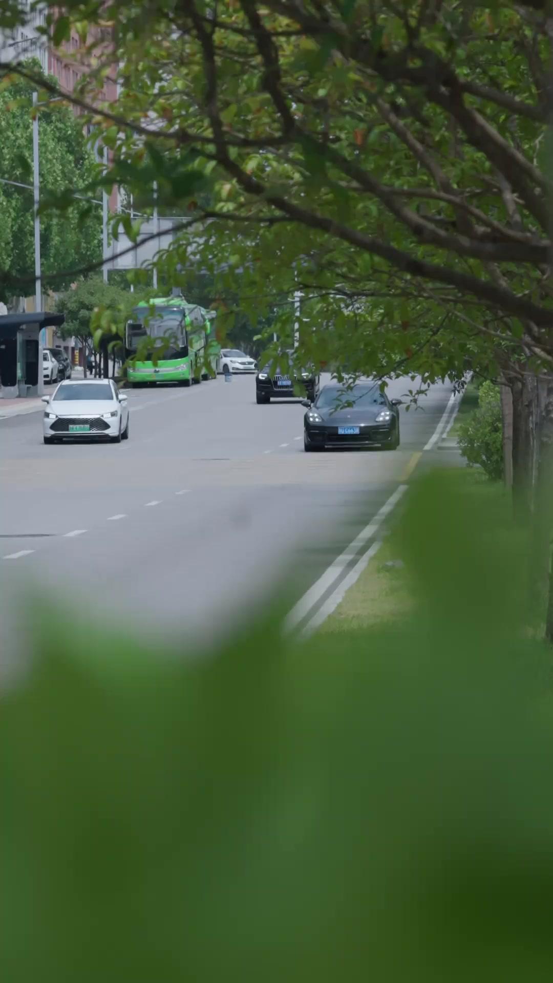 妹に元カノの心臓を捧げる