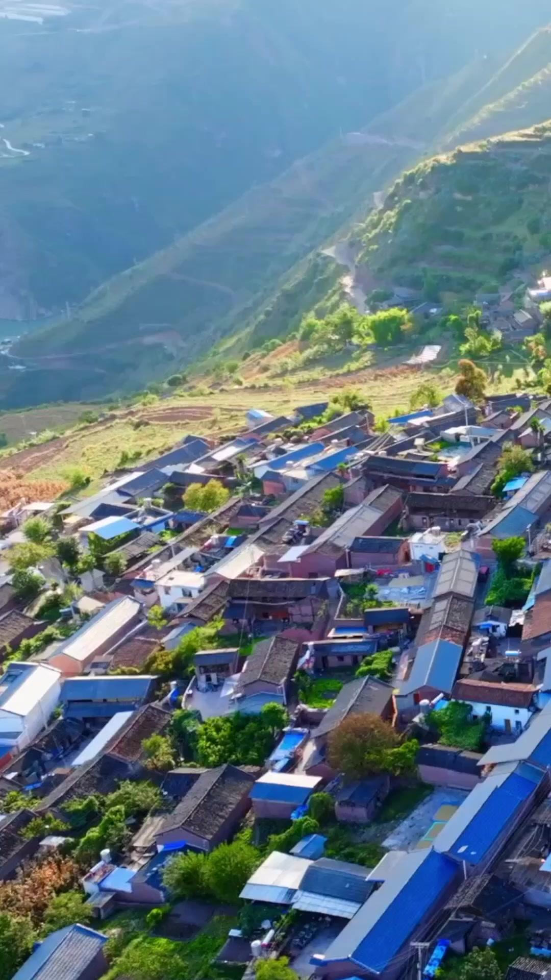 Marido Vegetativo é Bilionário