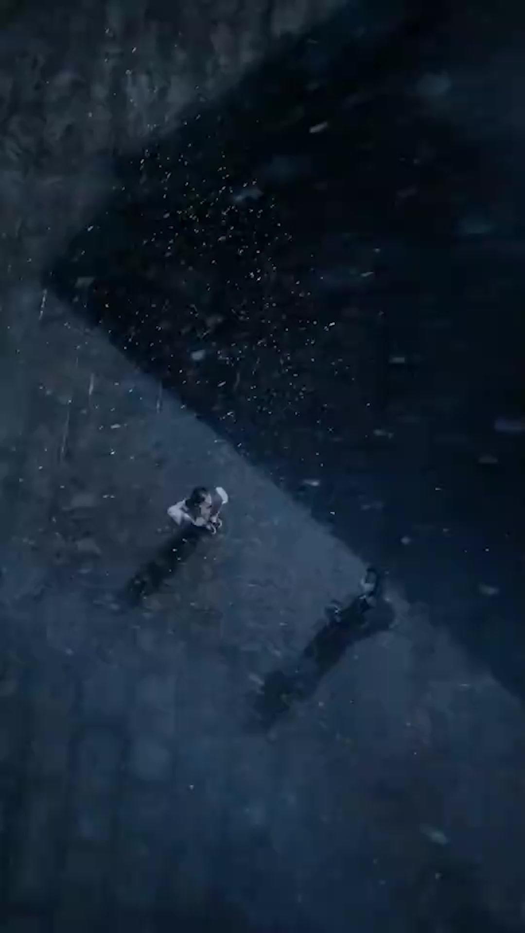 Die Unbesiegbare Eisenfaust