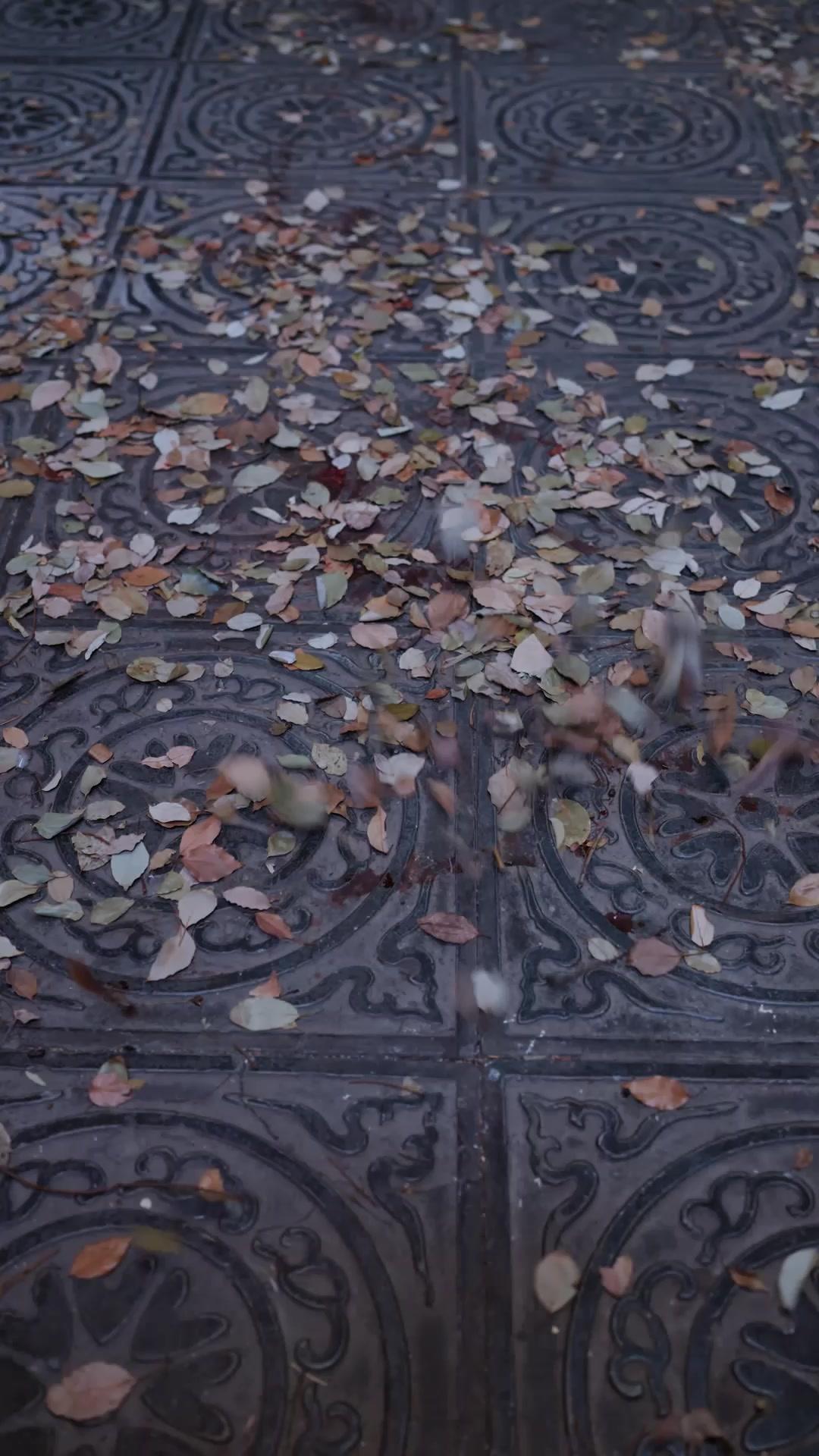 Foolish Young Master? I'm Fiend Lord!