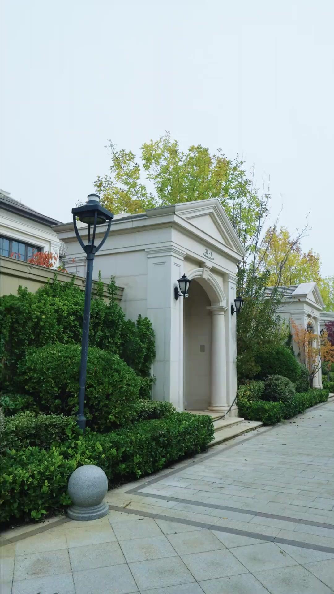 عودة الوريثة… والفوضى تتحول كوميديا