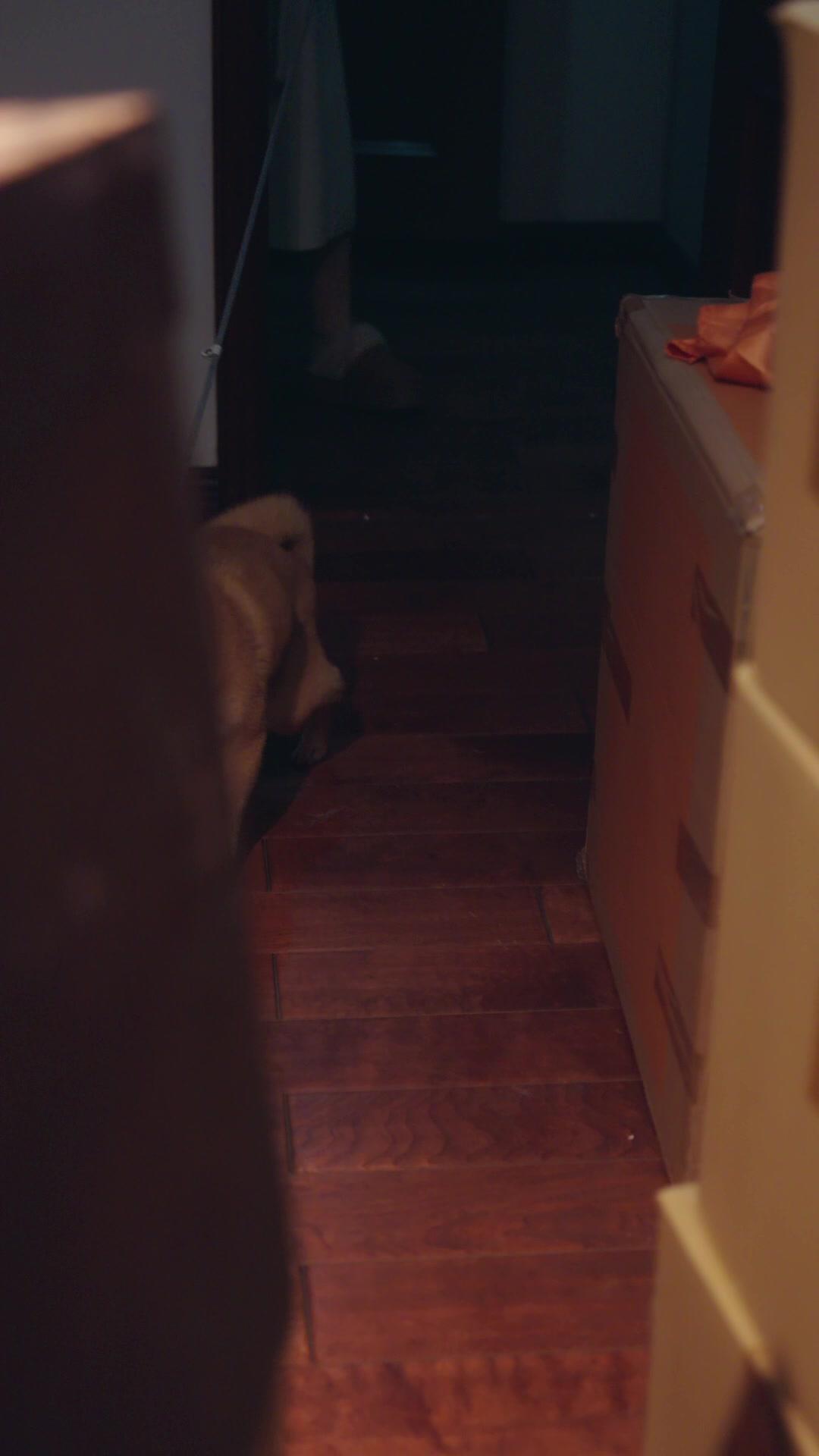  Keluarga Penuh Rahasia