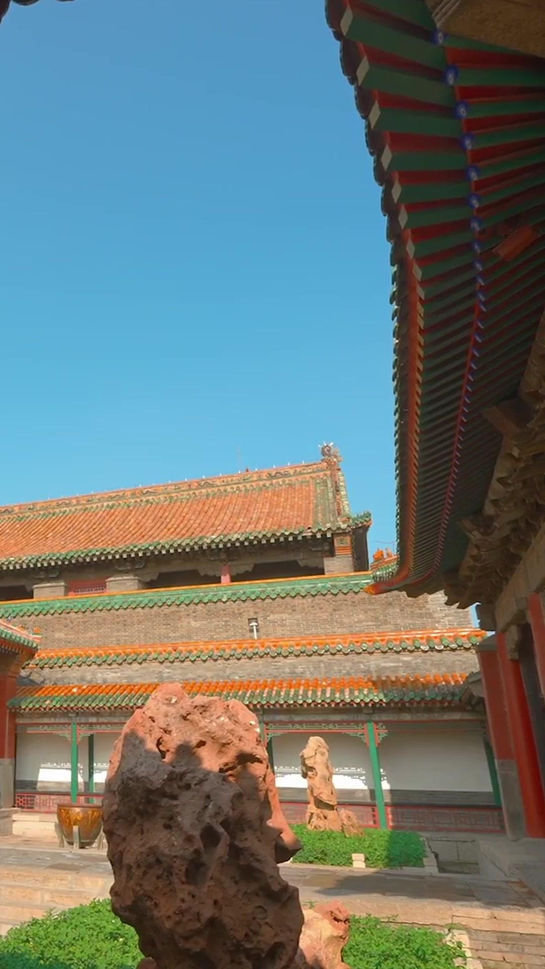 本宮今天要報仇