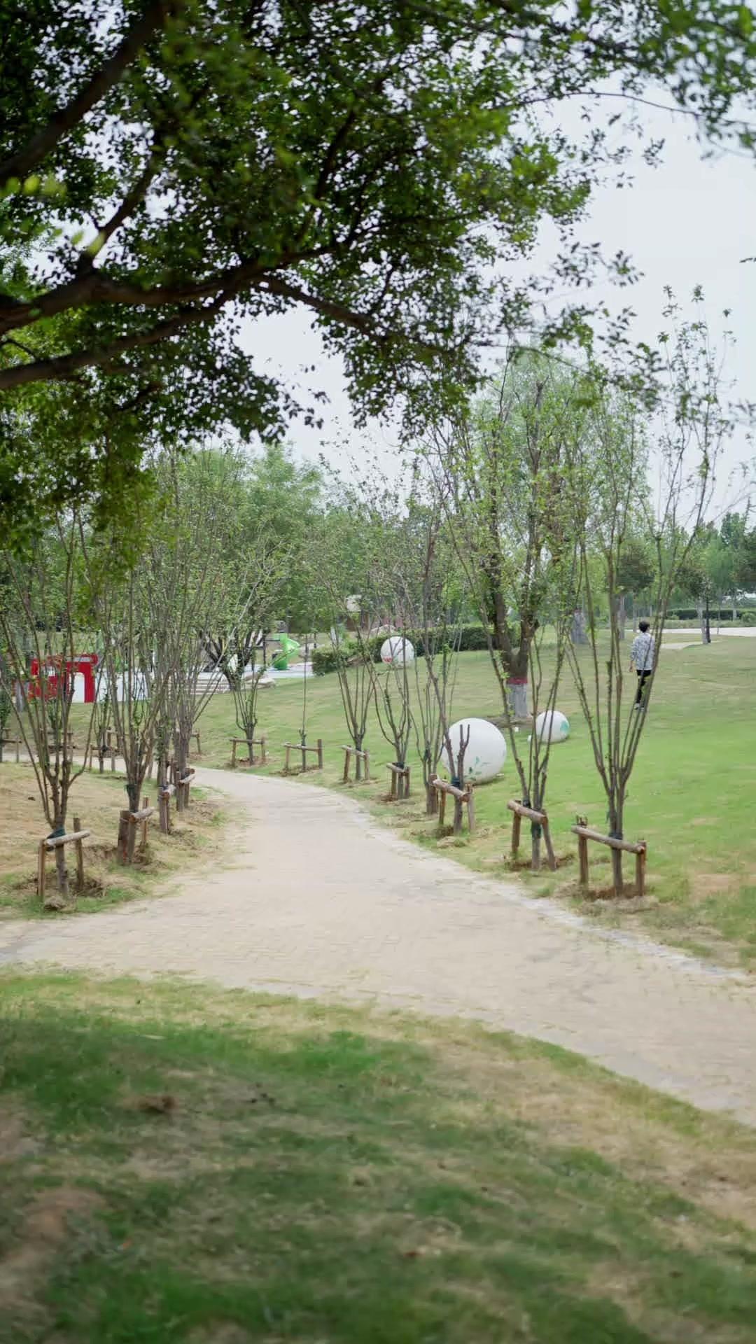 My Daddy Is a Dragon