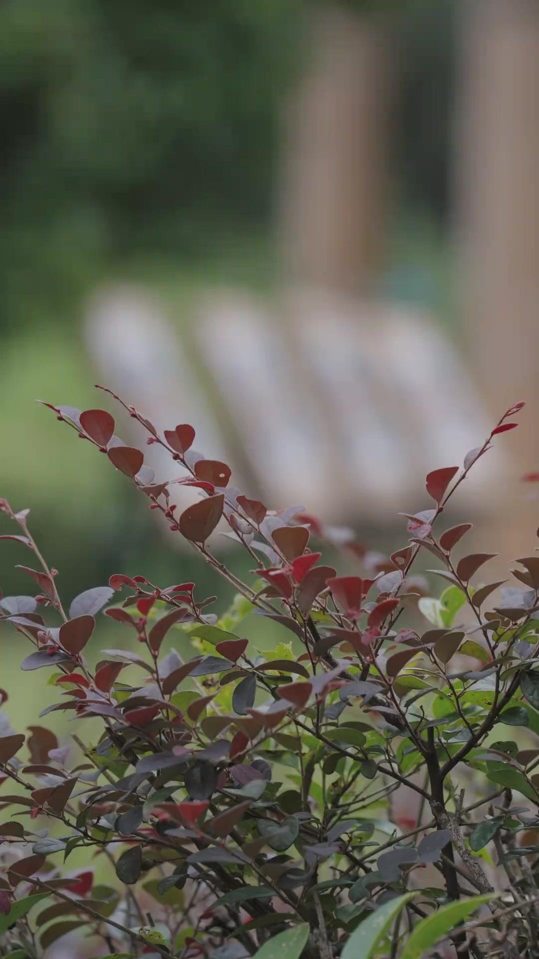 Gefährliches Verlangen