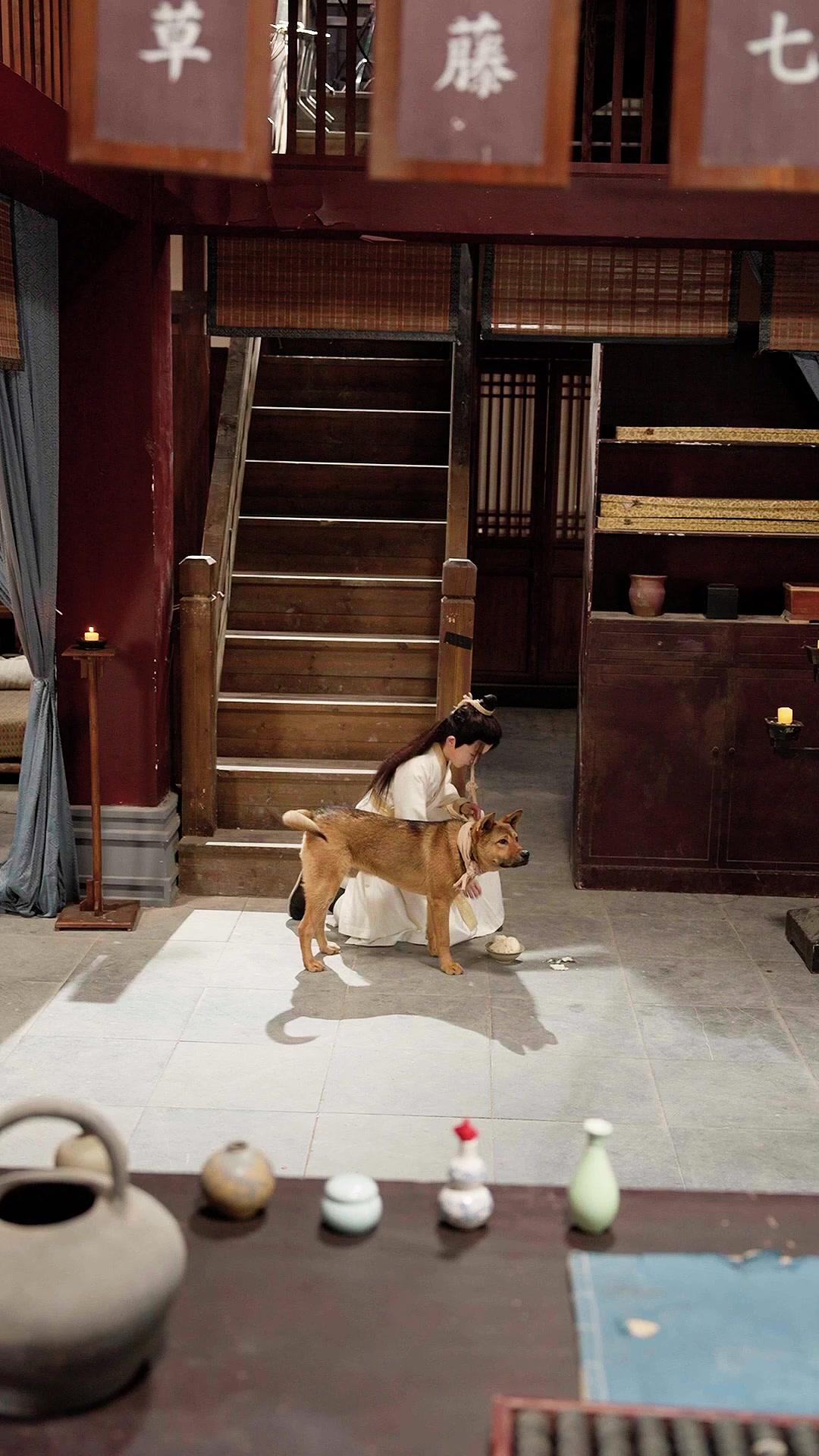 Dokter Legenda dari Timur