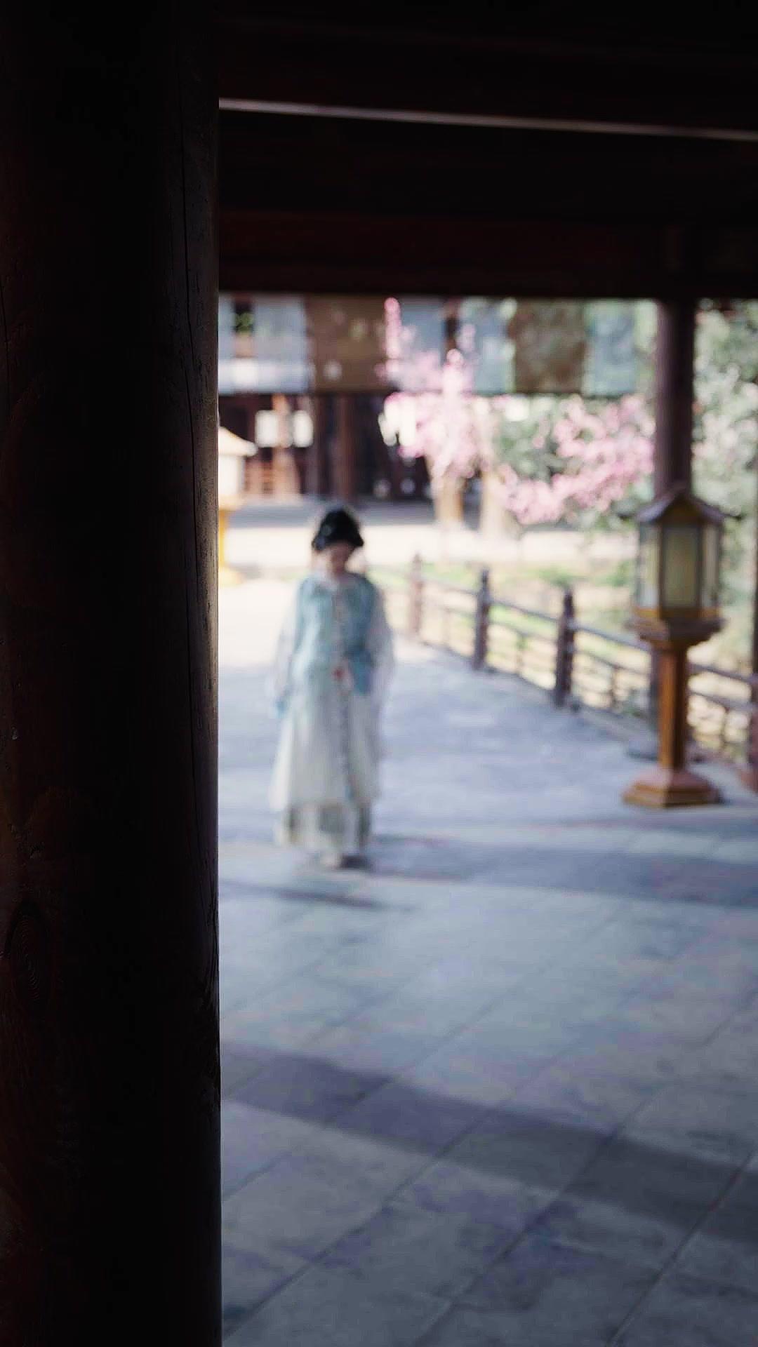 LA PRINCESSE DES CENDRES