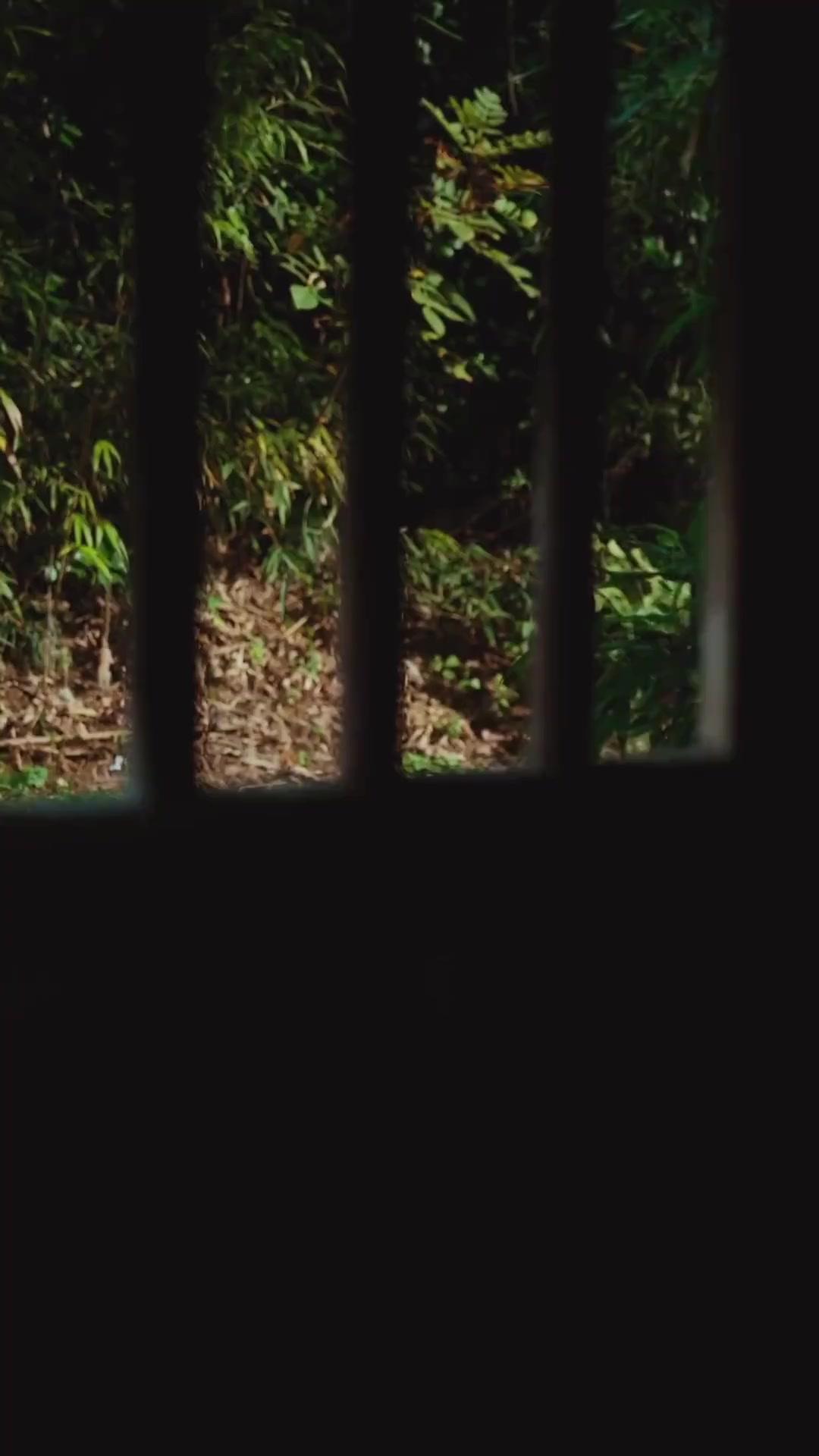 (Doublage) UNE ROSE À ÉPINES